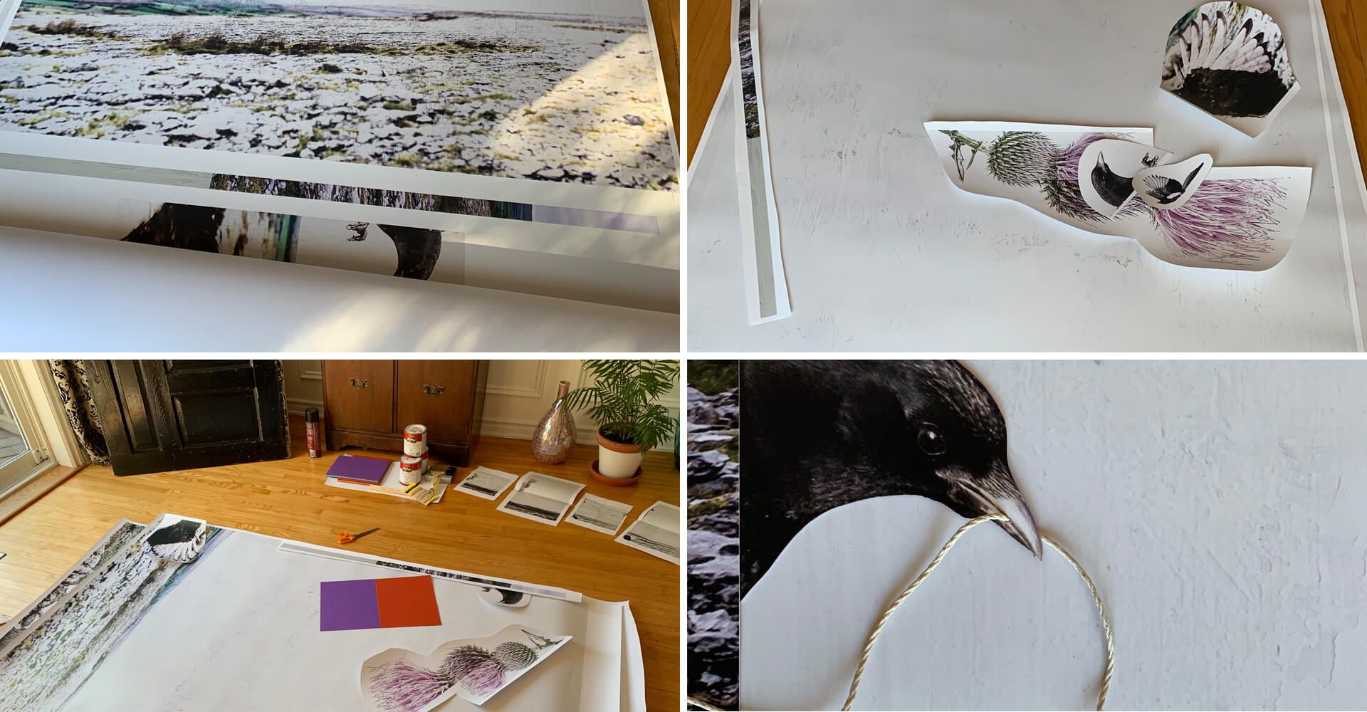 A collage of four pictures of a bird on a table.