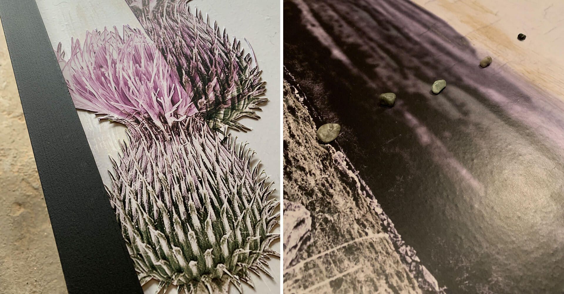 A picture of a thistle and a picture of a road.