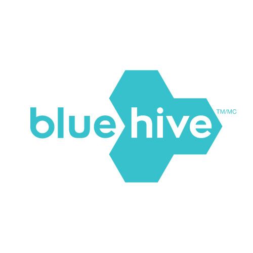 The blue hive logo is a blue hexagon with the word blue hive on it.