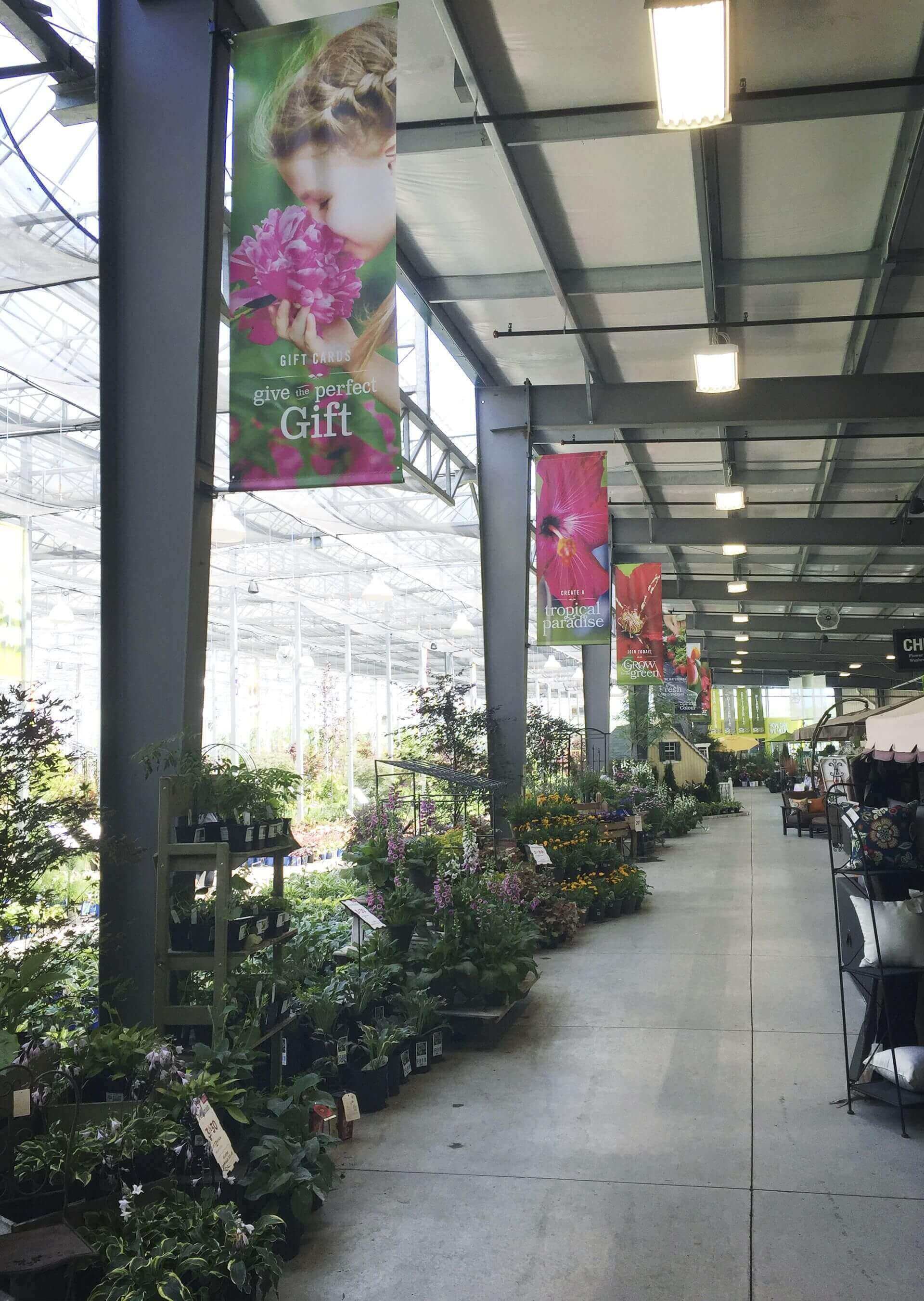 A greenhouse filled with lots of plants and flowers.
