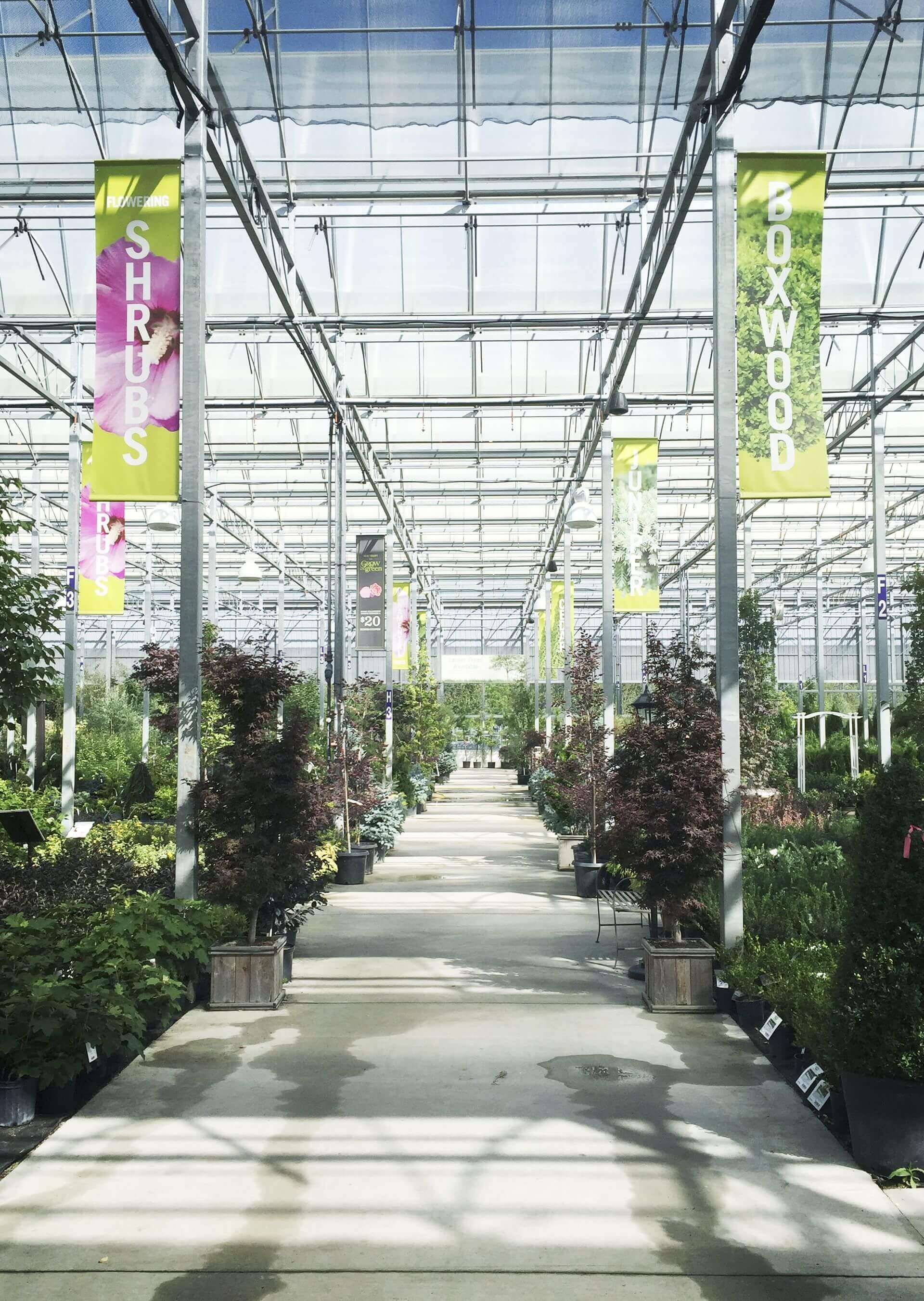 A greenhouse filled with lots of plants and flowers