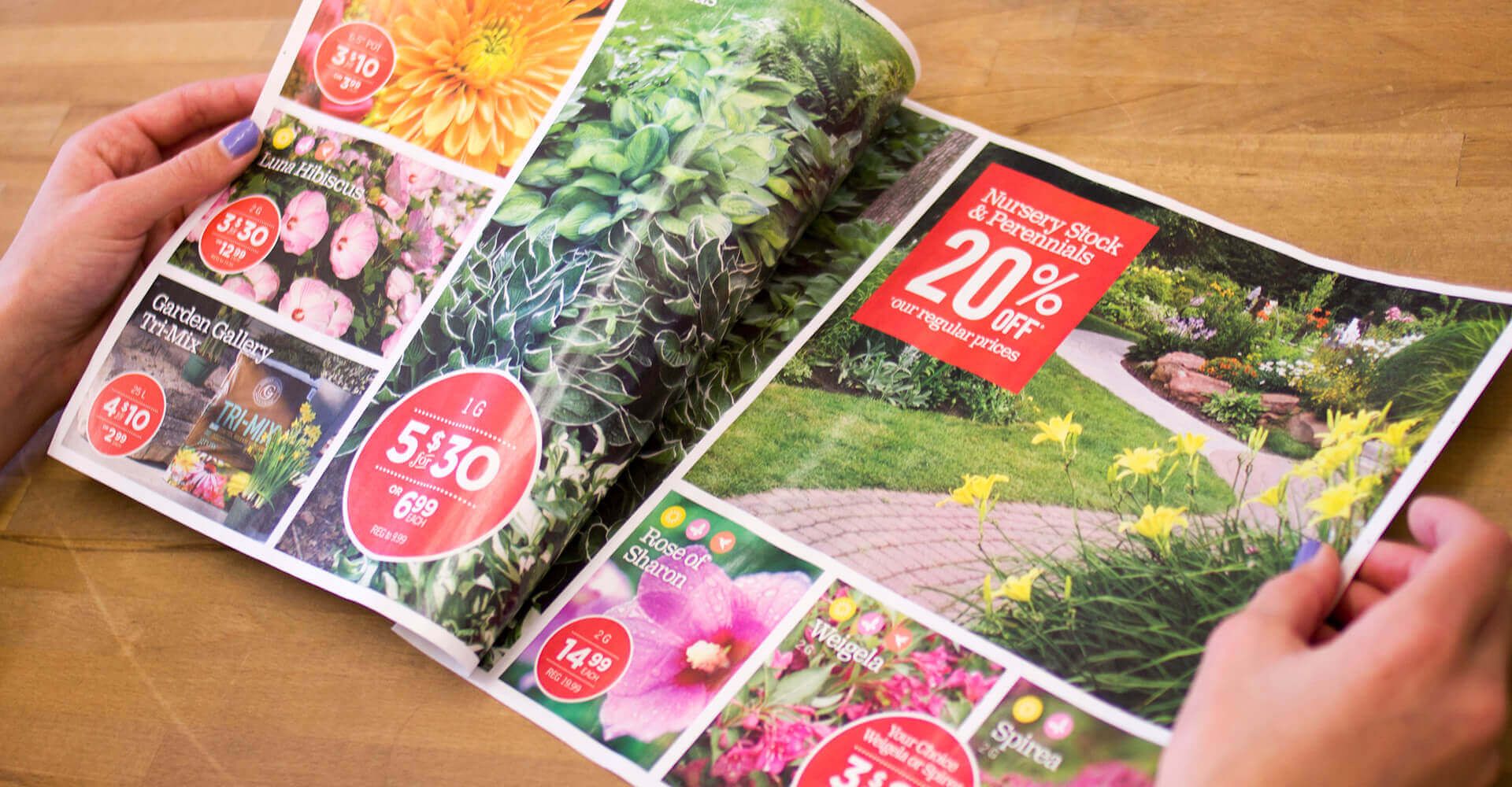 A person is holding a catalog with pictures of flowers and plants.