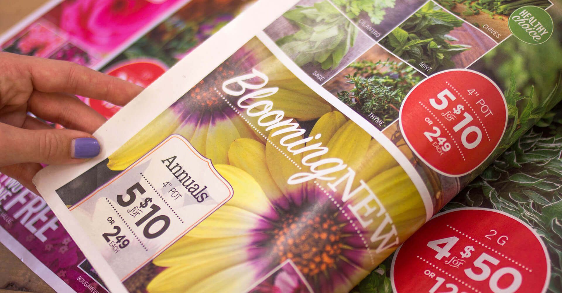 A person is holding a magazine open to a page that says blooming new