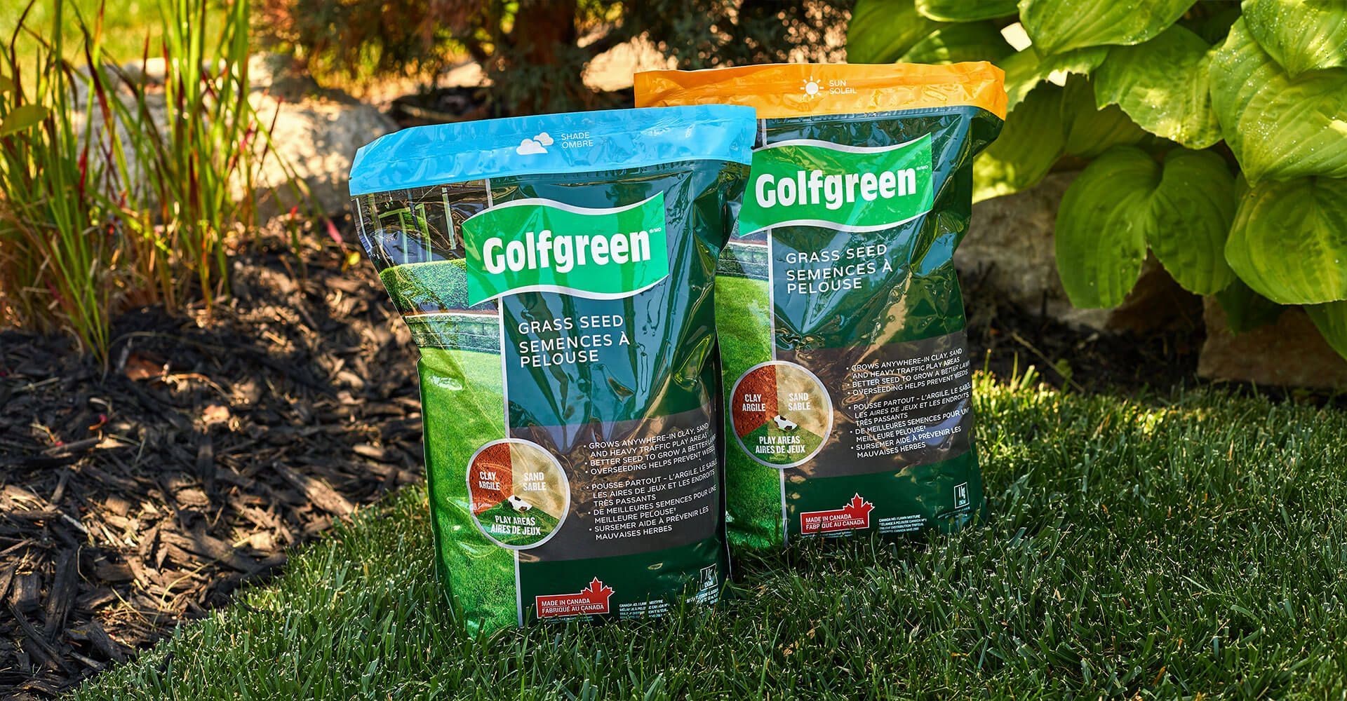 Two bags of golfgreen grass seeds are sitting on top of a lush green lawn.