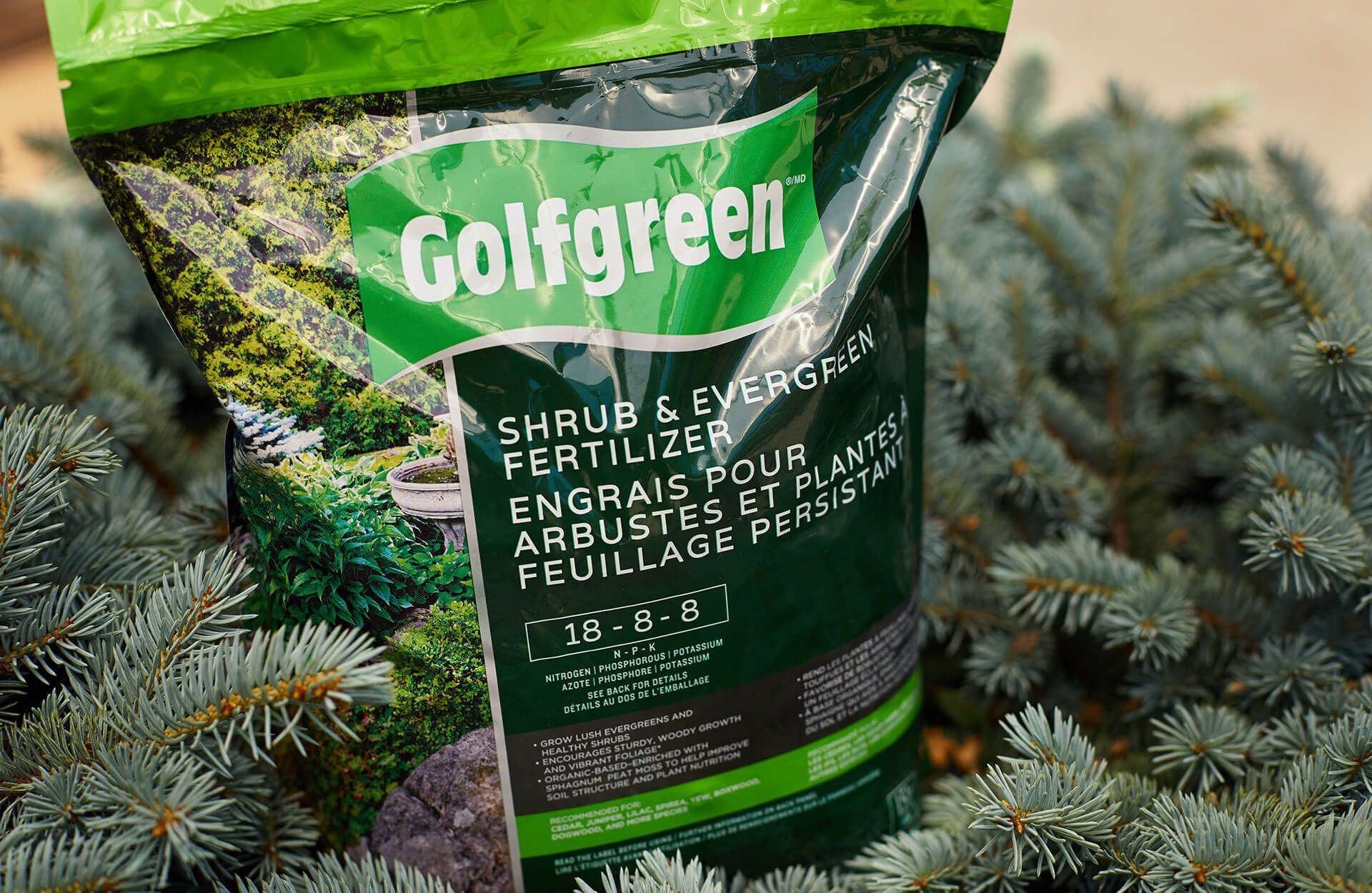 A bag of golfgreen shrub fertilizer is sitting on top of a pine tree.