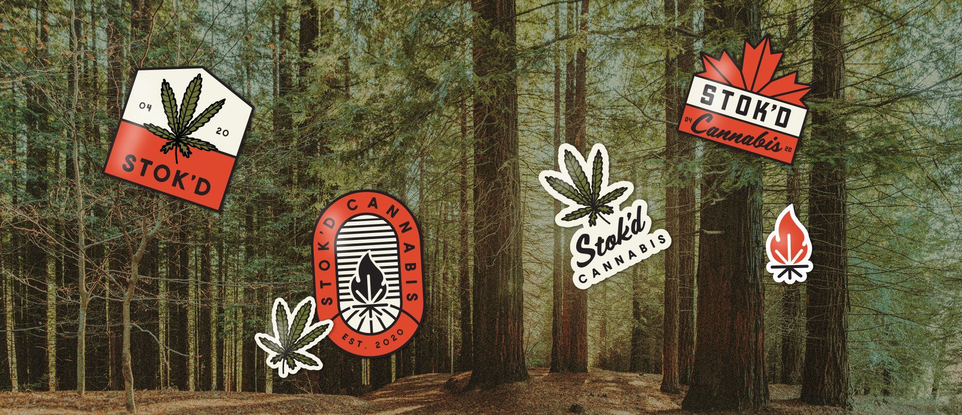 A bunch of stickers are hanging from trees in a forest.