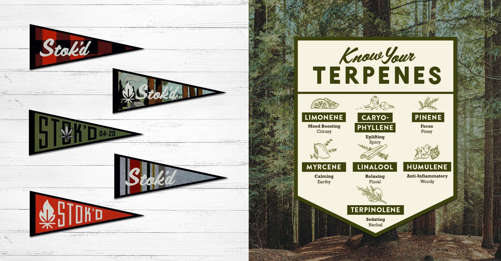 A sign that says know your terpenes next to some flags