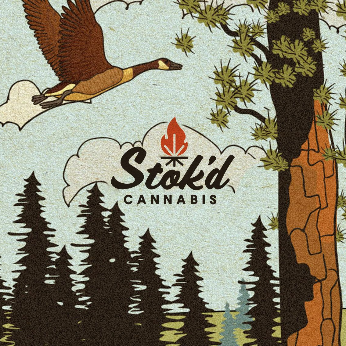Stok'd Cannabis