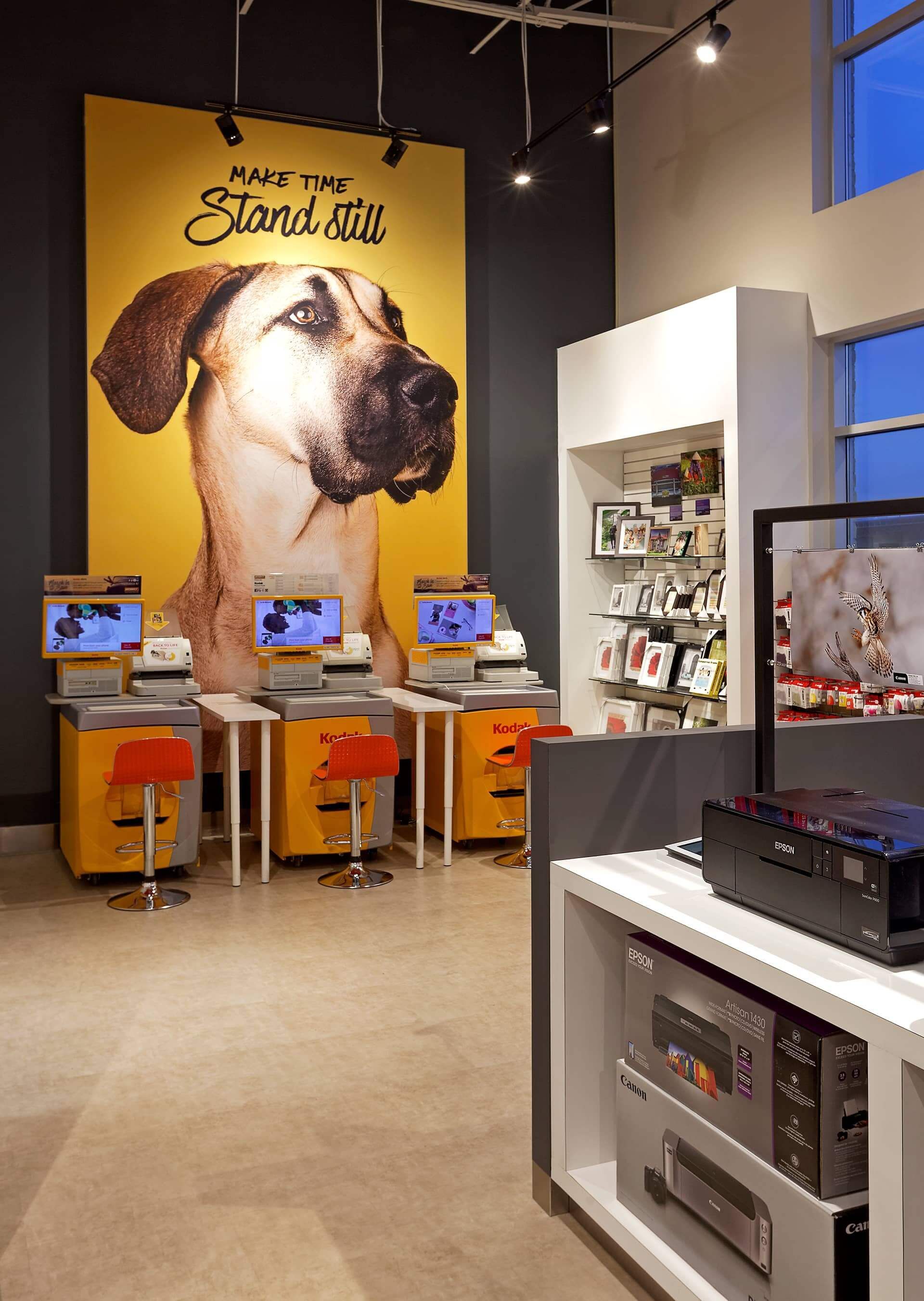 A store with a large picture of a dog on the wall