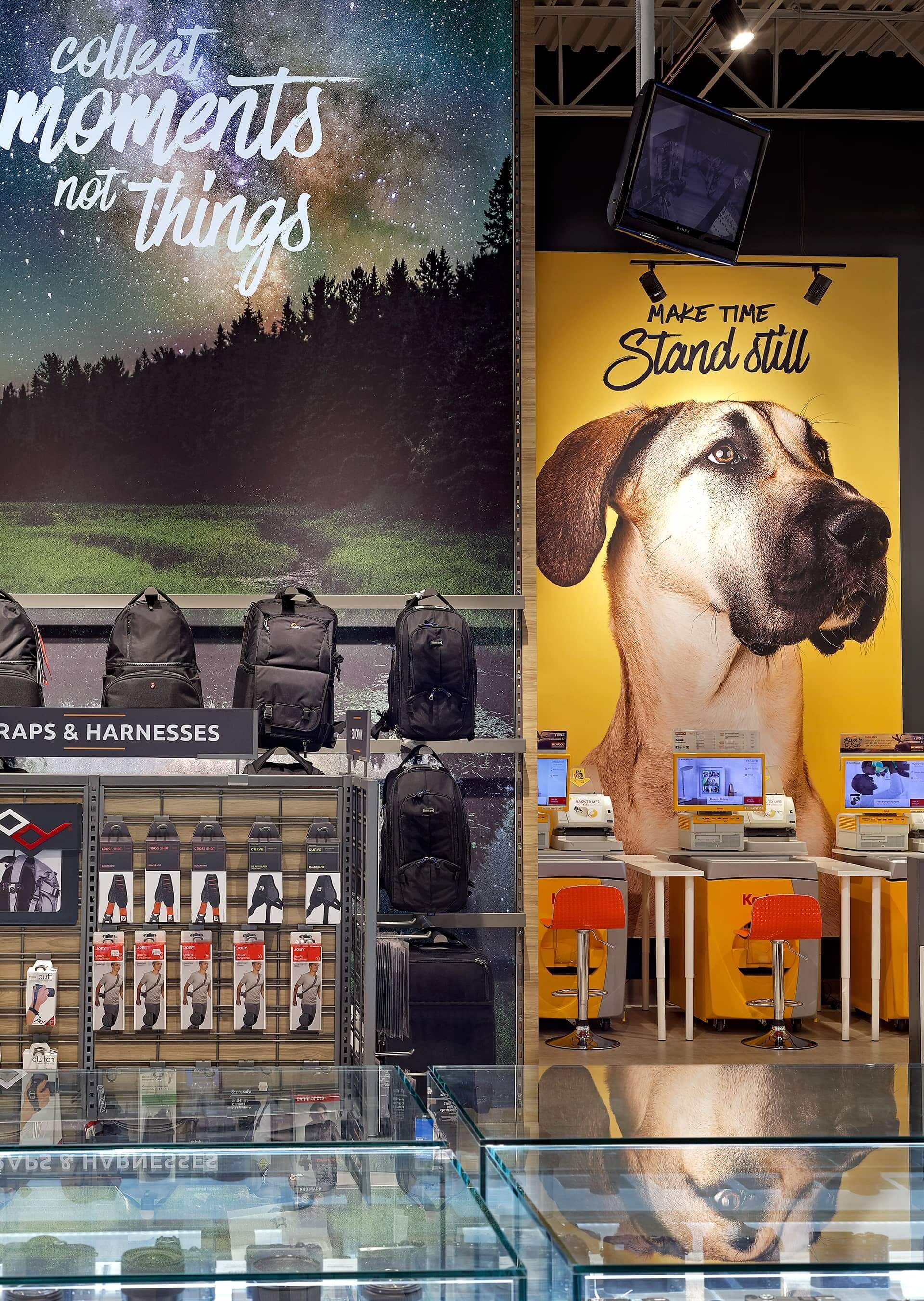 A store with a large painting of a dog on the wall.