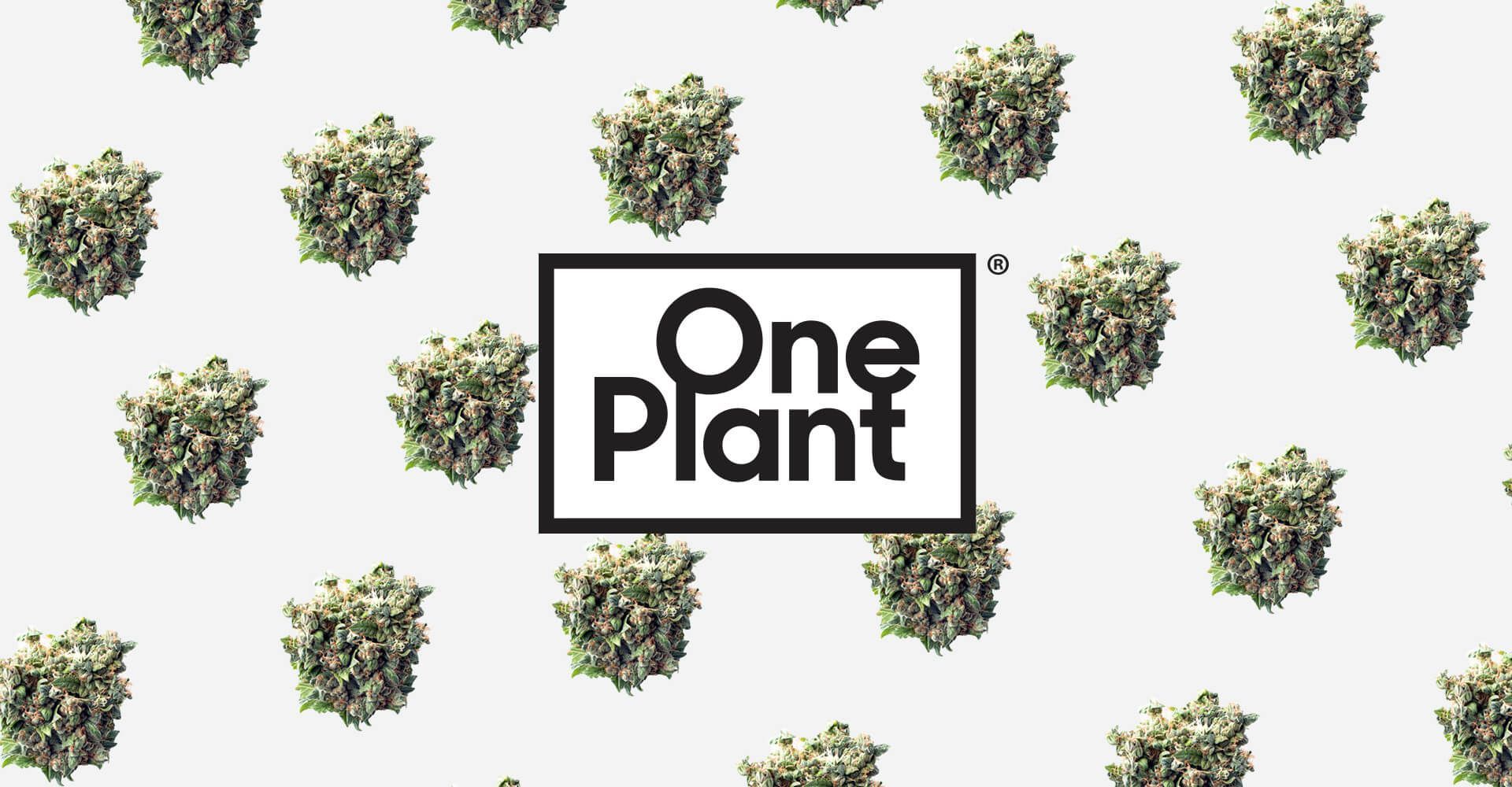 one plant logo over a wallpaper of weed nuggies.