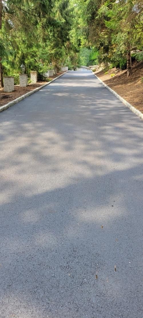 Asphalt road through a tree-lined area, possibly a cemetery or park. Sunlight and shadows on the road.