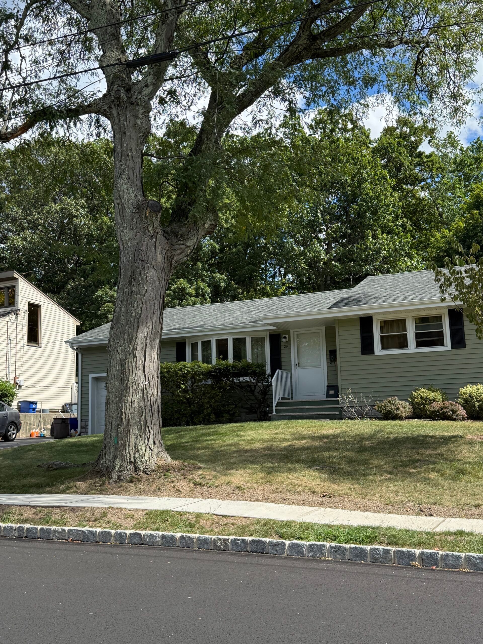 Small, green-sided house with a white door, shrubbery, and a large tree in front.