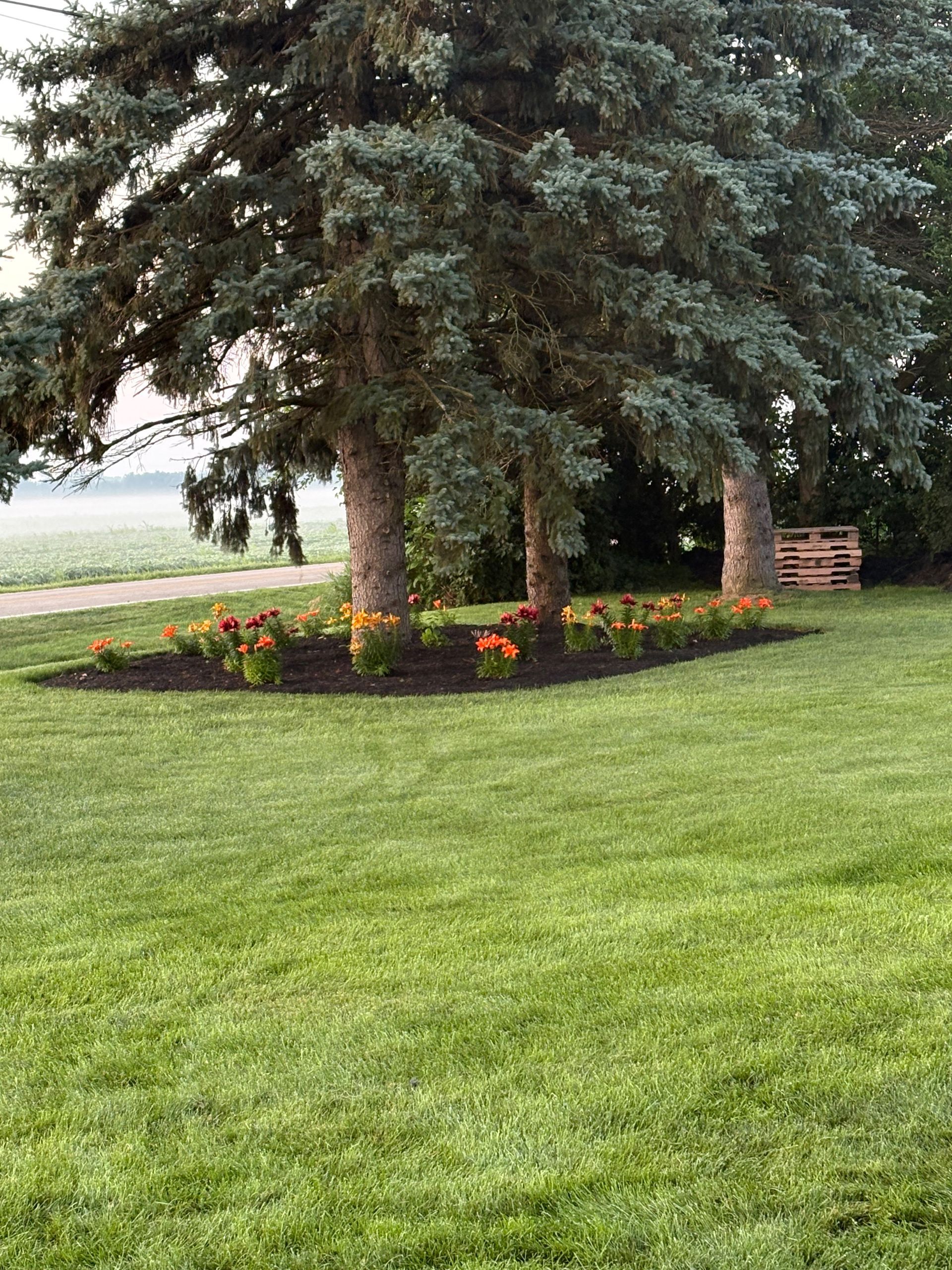 A well-manicured lawn with a flower bed in front of large trees. Orange flowers border the dark soil.
