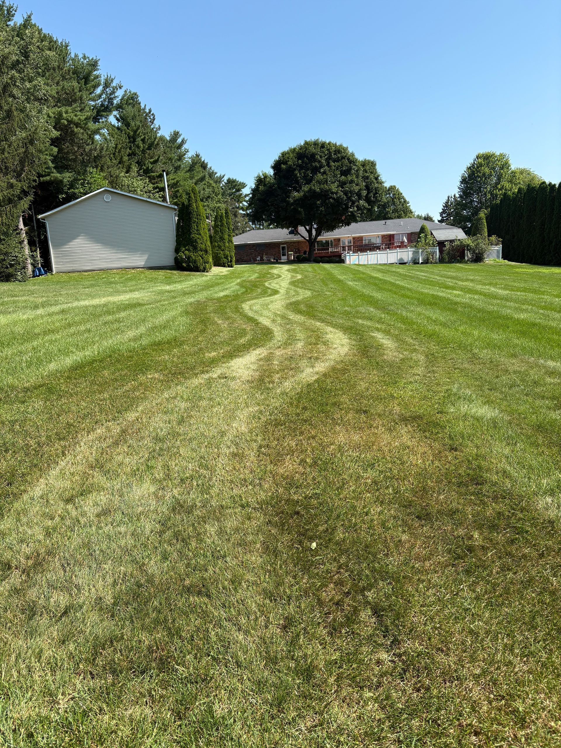 Green lawn with wavy tire tracks leading to a house under a blue sky.