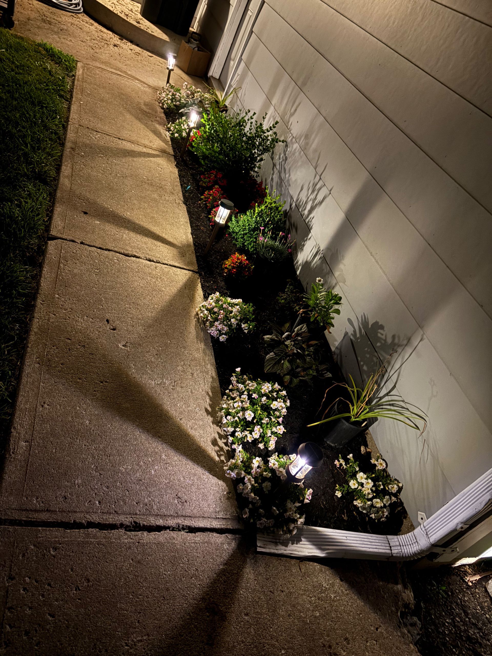A nighttime view of a narrow flowerbed along a building's white siding, illuminated by small lights.