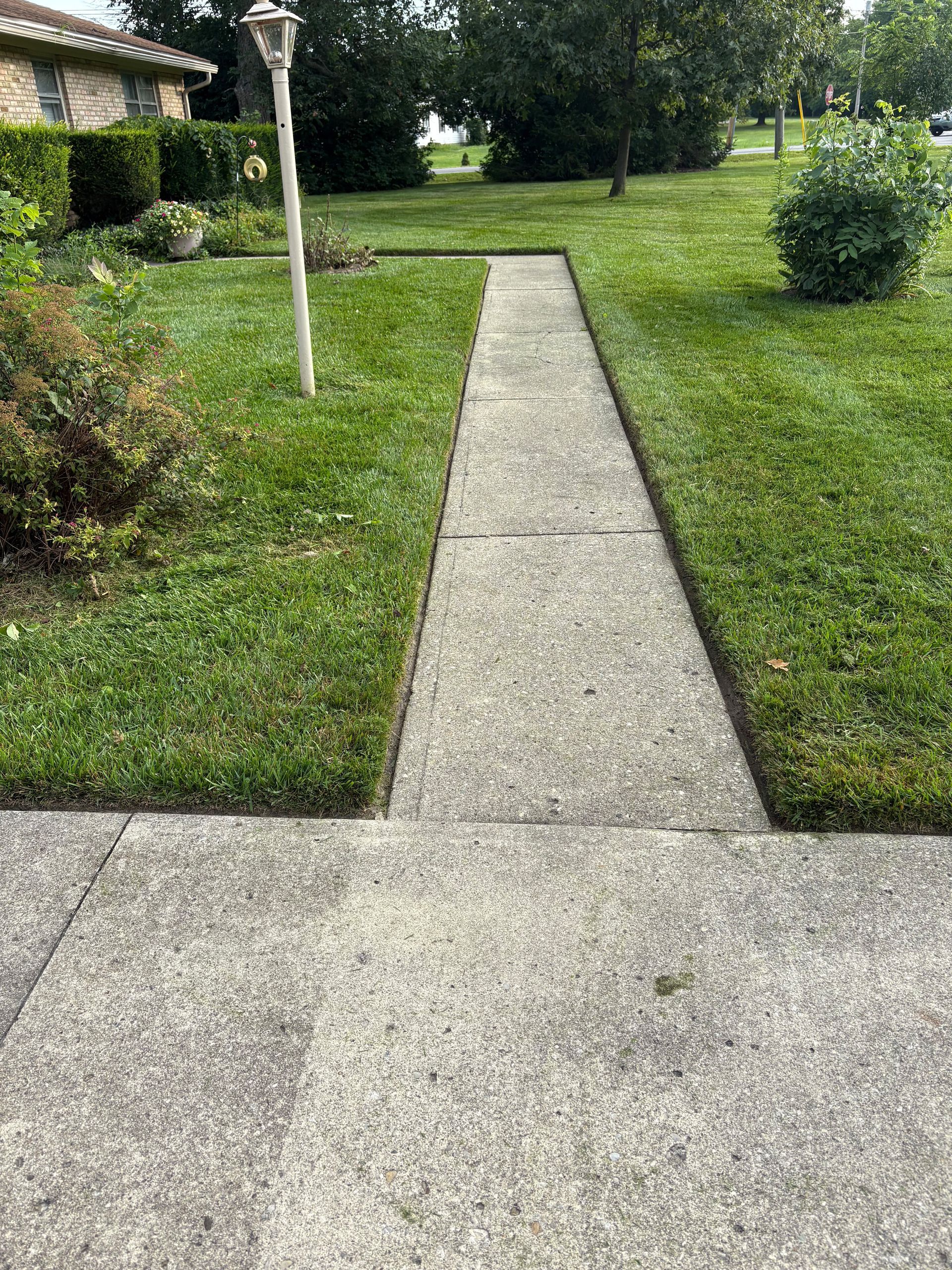 Concrete pathway through a well-manicured lawn, leading toward a house with trees and shrubbery.