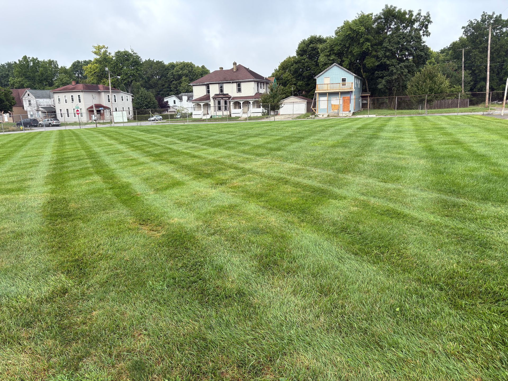 Lawn mowed with neat stripes in front of houses and trees on a cloudy day.