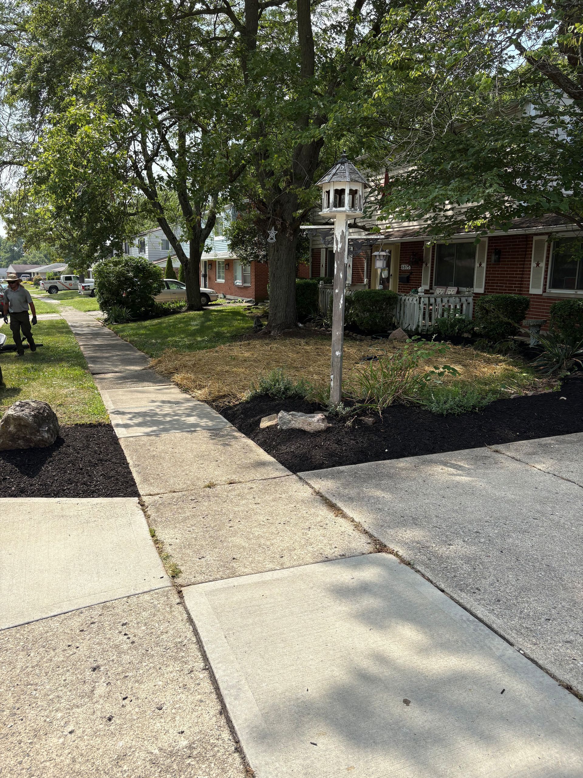 Sidewalk leading to a house with a birdhouse, surrounded by trees and mulch.