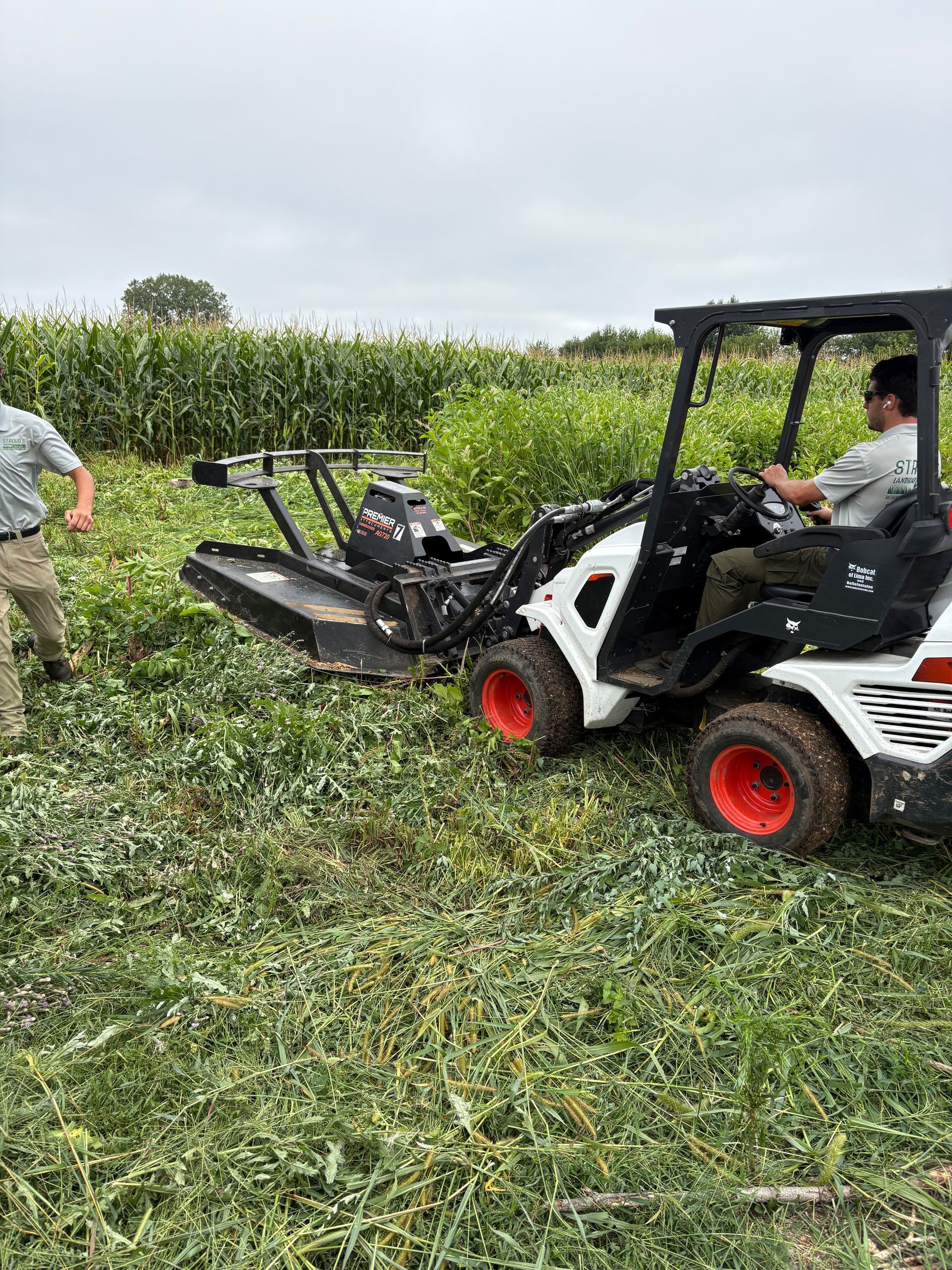 A Bobcat tractor cutting tall green grass in a field, two people are present, overcast day.