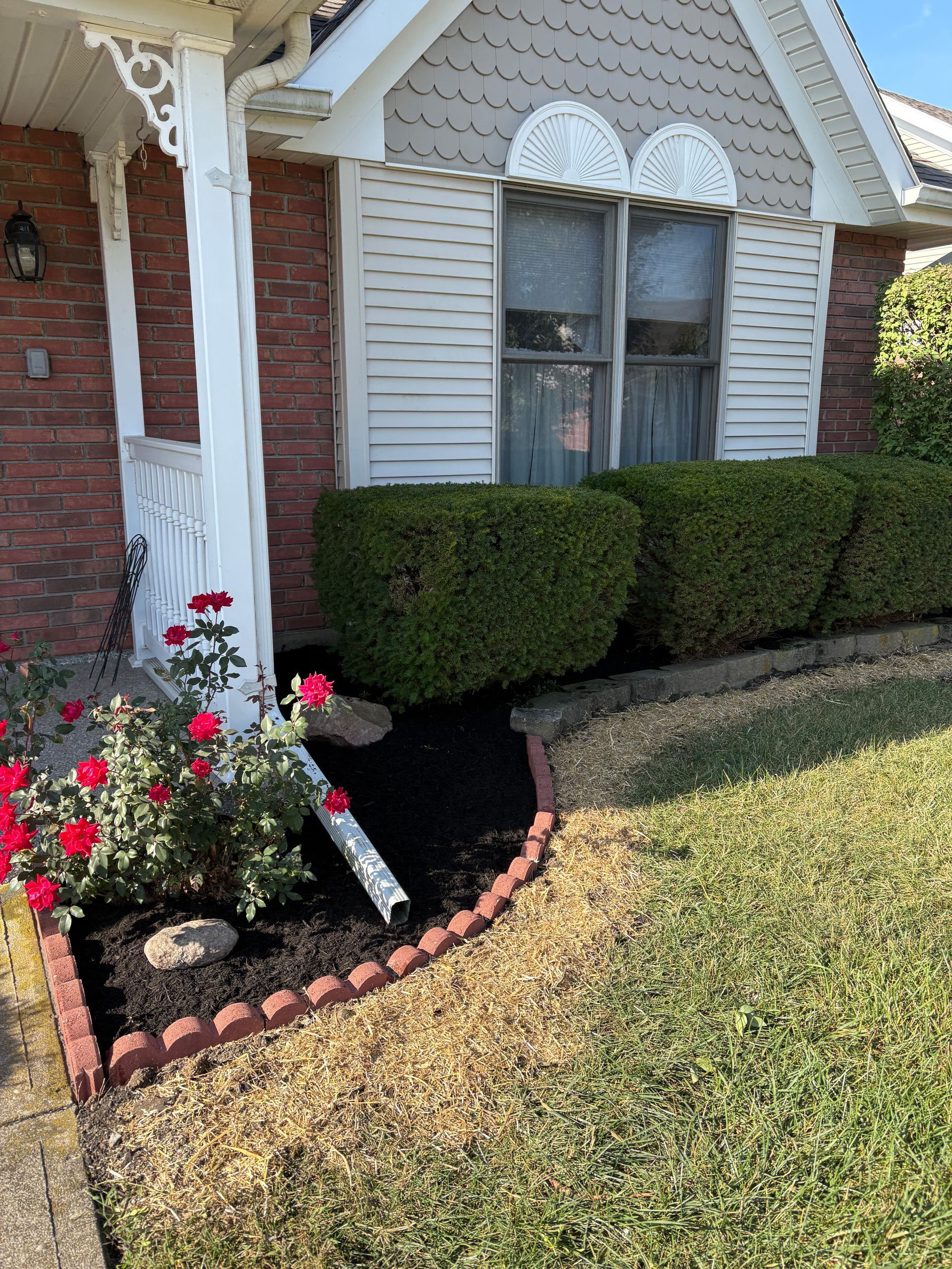 A house with red brick and white trim, featuring neatly trimmed bushes, a rose bush, and fresh black mulch.