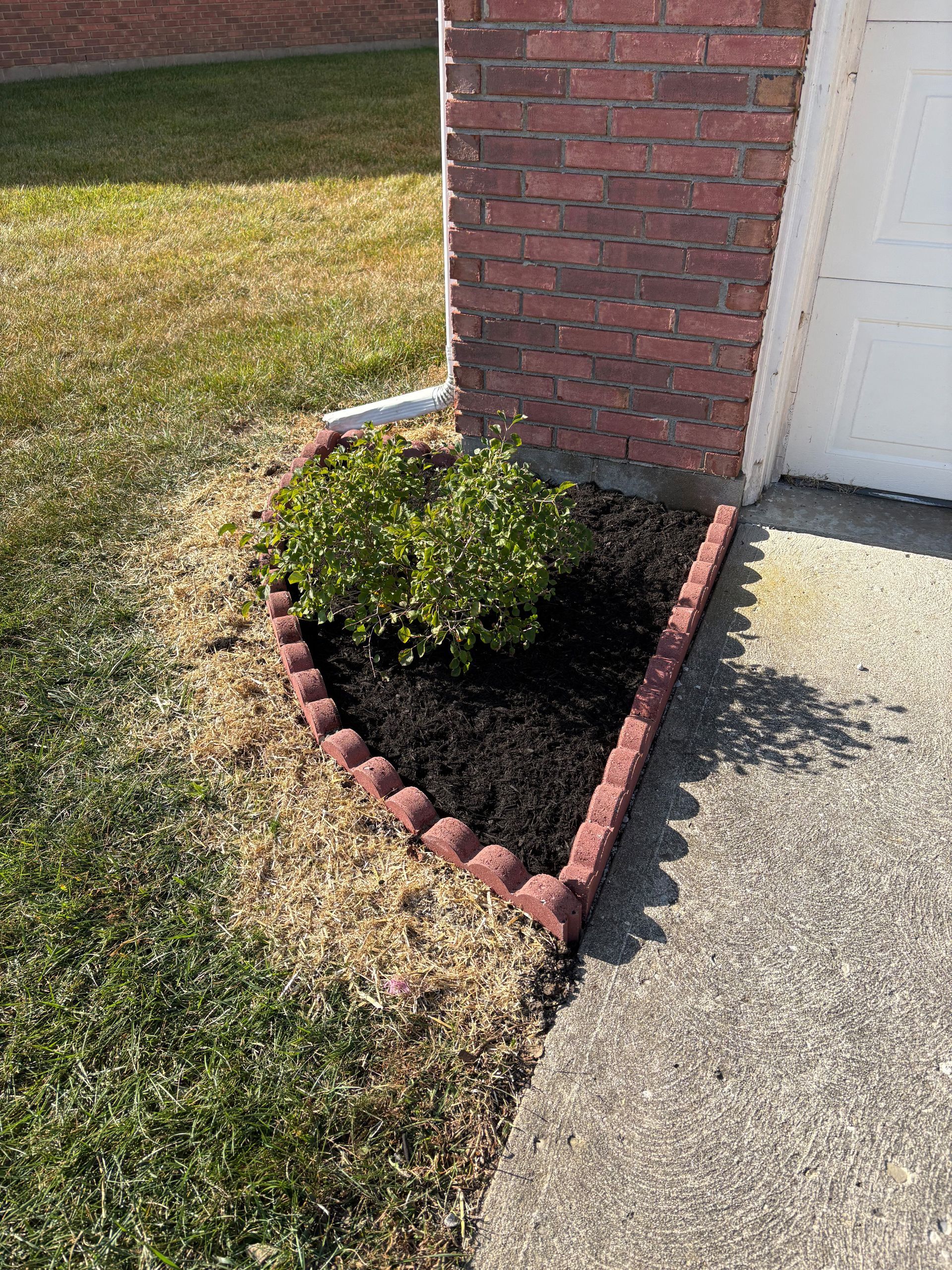 Small garden bed with dark mulch, brick edging, and two green bushes near a brick wall and garage door.