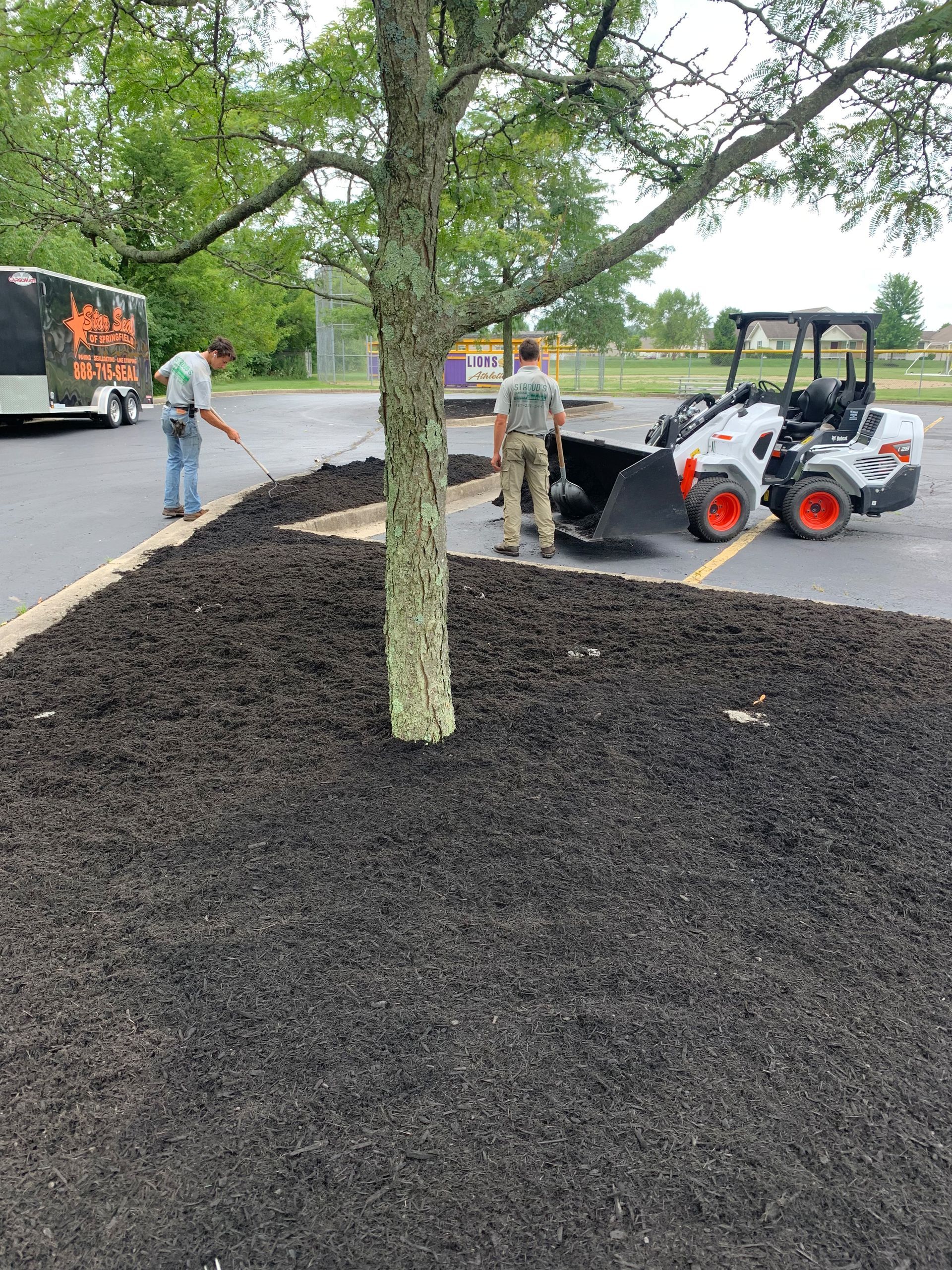 Two men spreading mulch around a tree with a Bobcat in a parking lot.