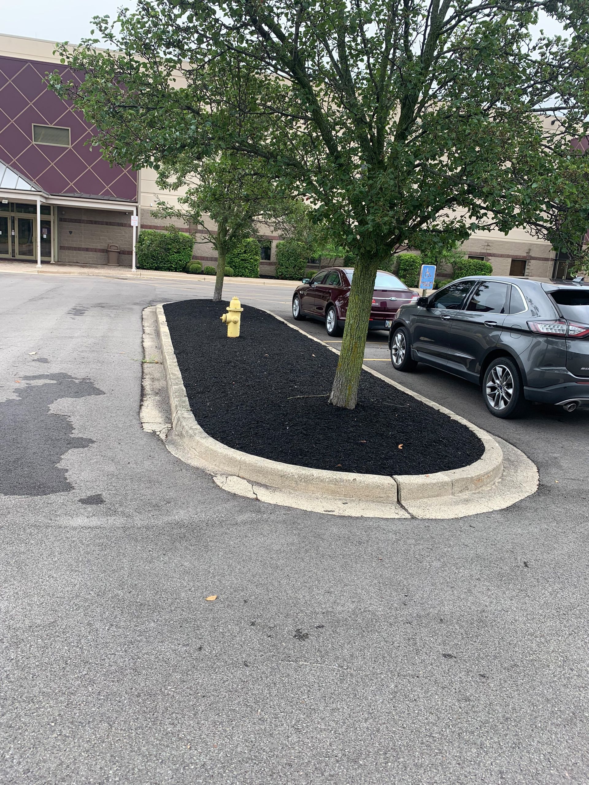 Asphalt parking area with raised bed, trees, fire hydrant, and cars. Building in background.