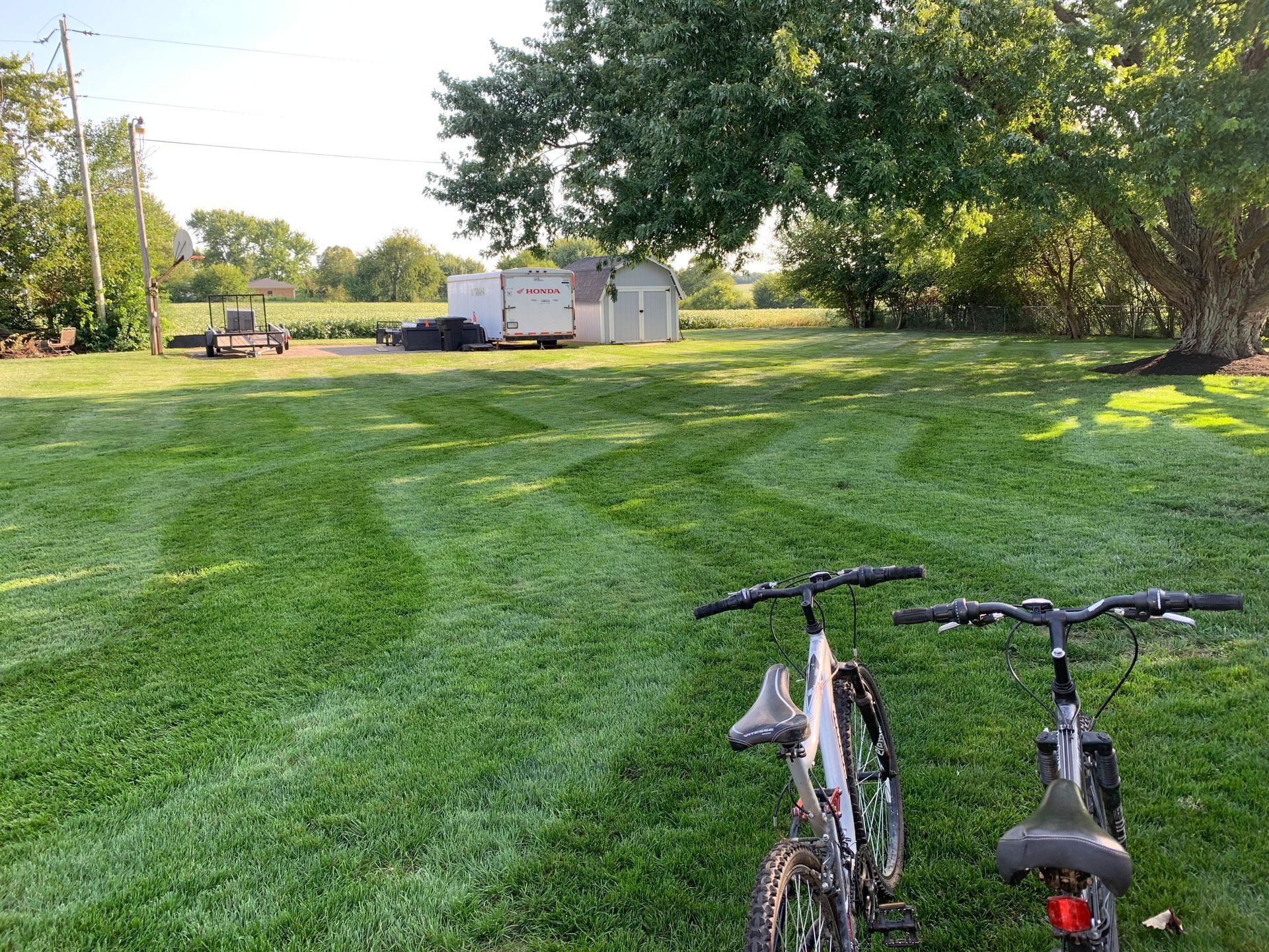 Two bikes in a freshly mowed grassy yard. Sheds and trees are in the background under a bright sky.