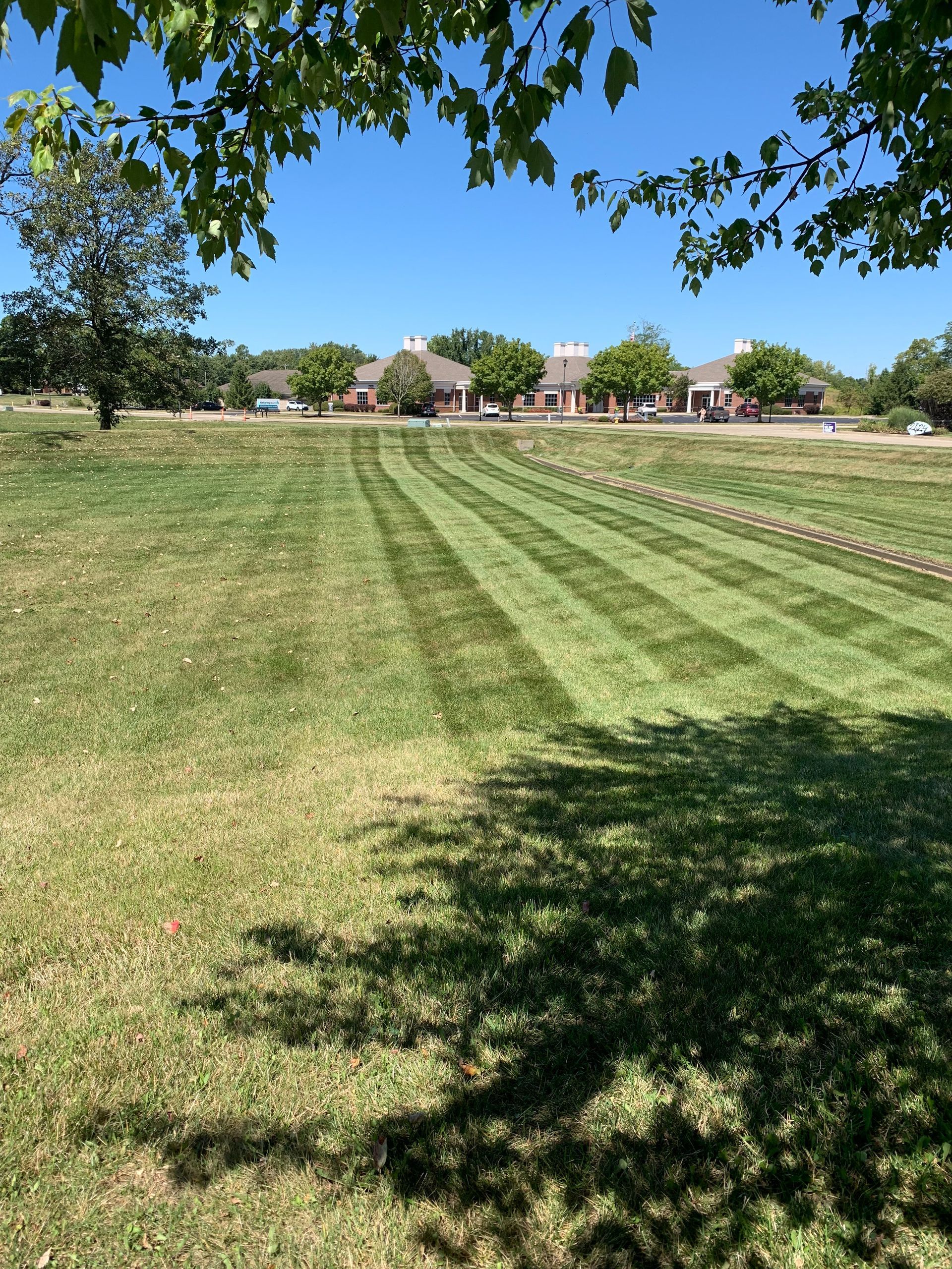 Lawn with stripes of freshly mown grass, trees, and buildings under a blue sky.