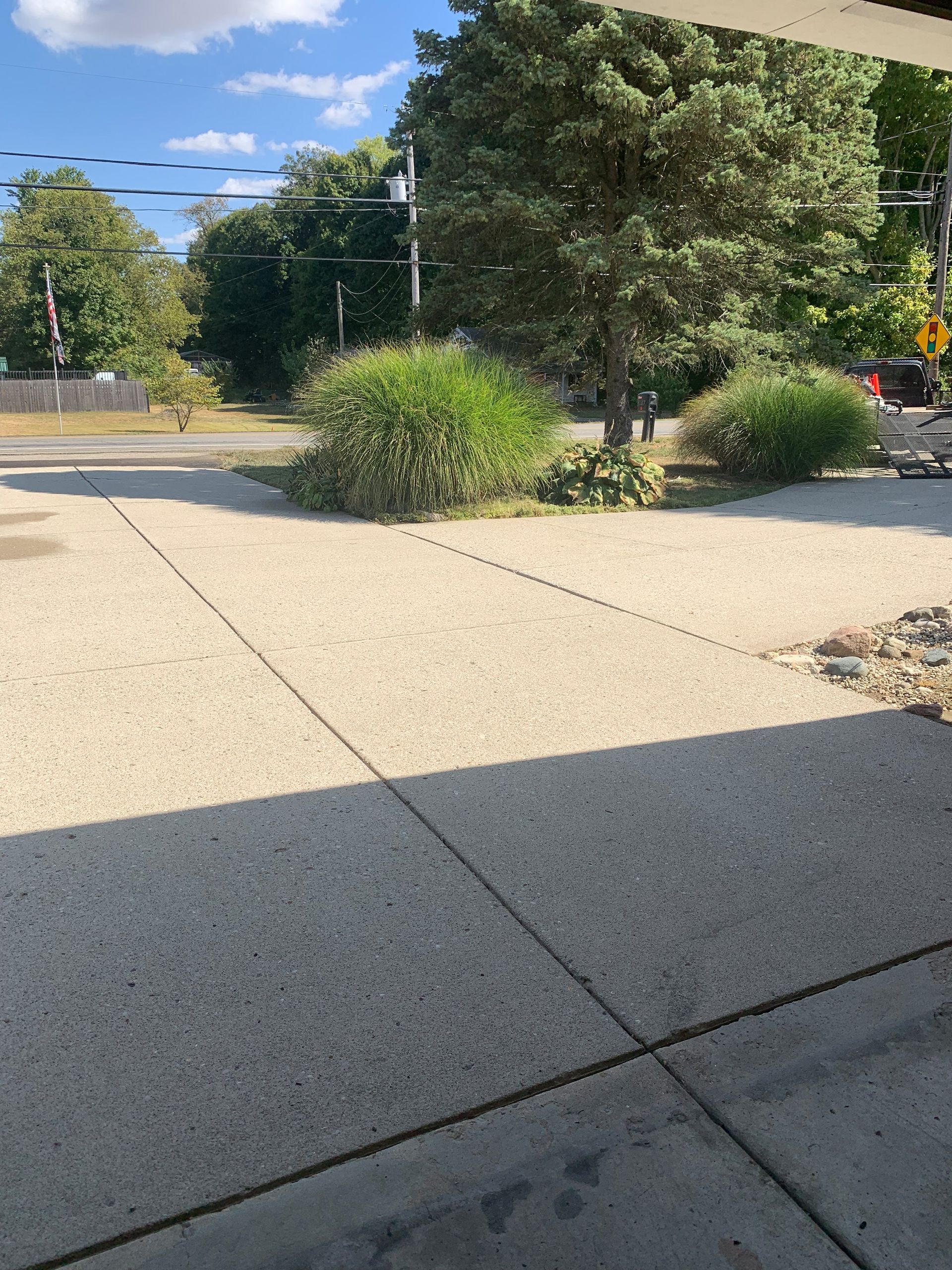 A concrete driveway with bushes and a tree in the middle, leading to a street on a sunny day.