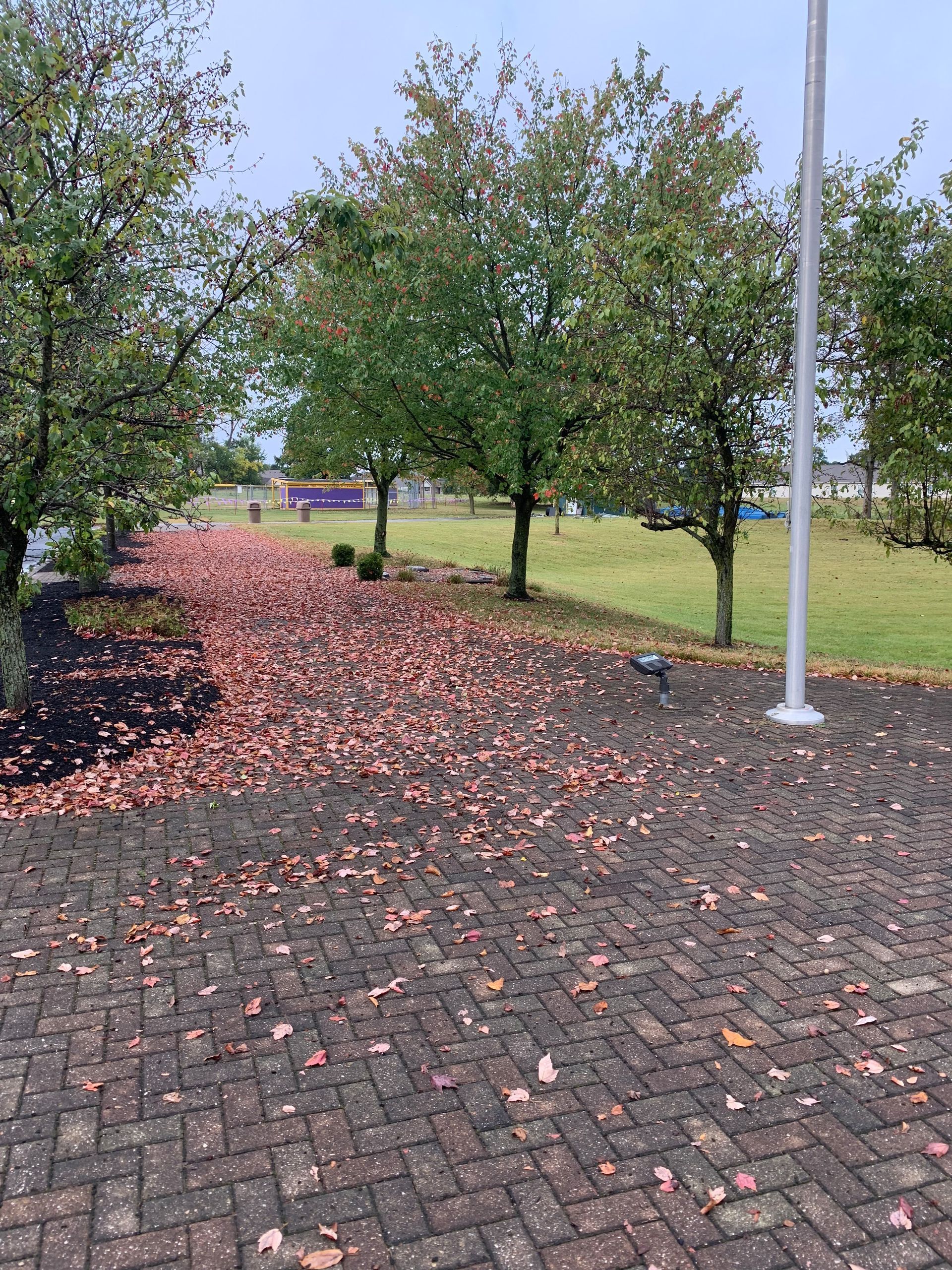 Brick pathway with fallen leaves, lined with trees. Green grass and a pole in the background.