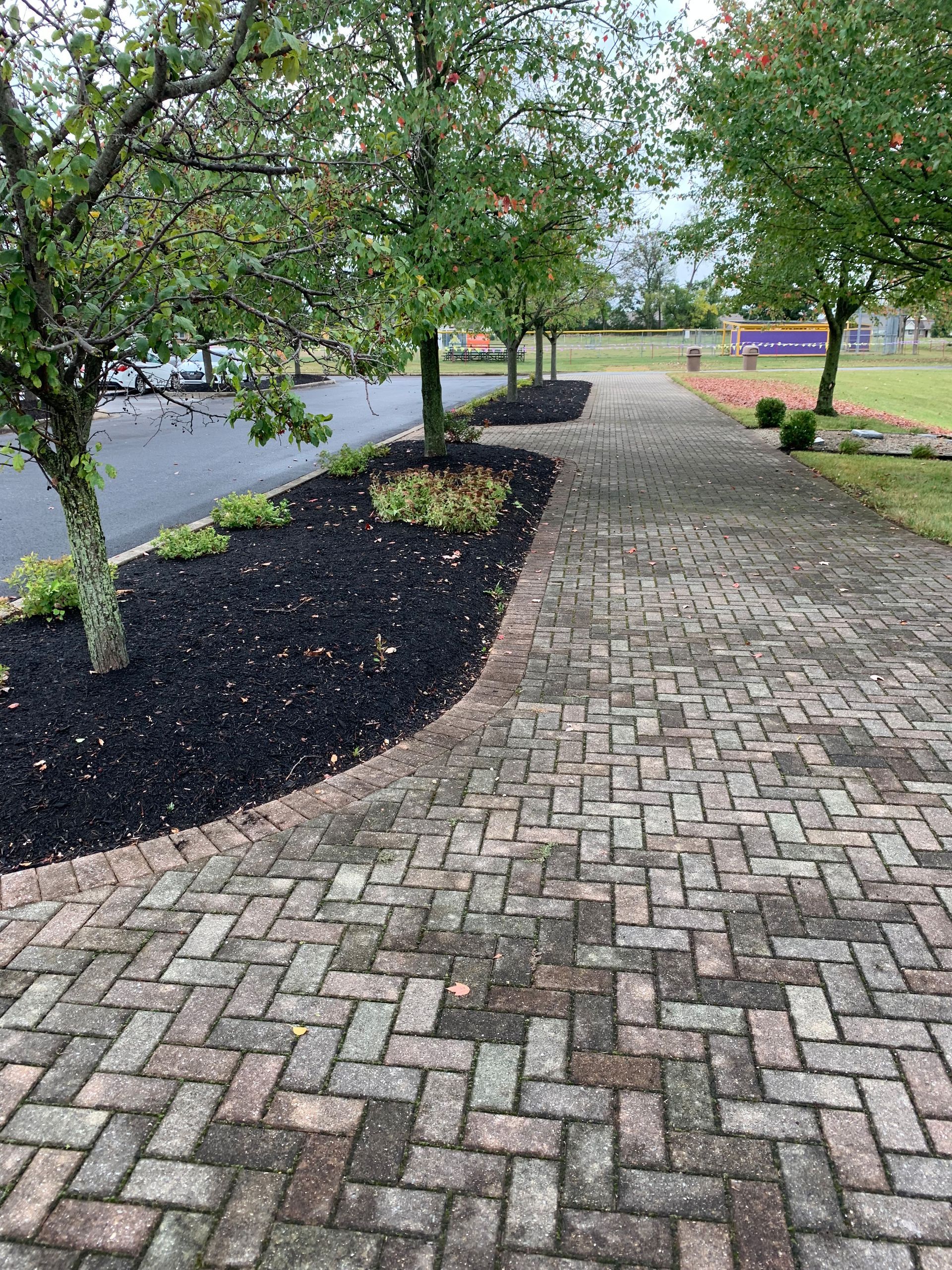 Brick walkway alongside a bed of black mulch, trees, and road.