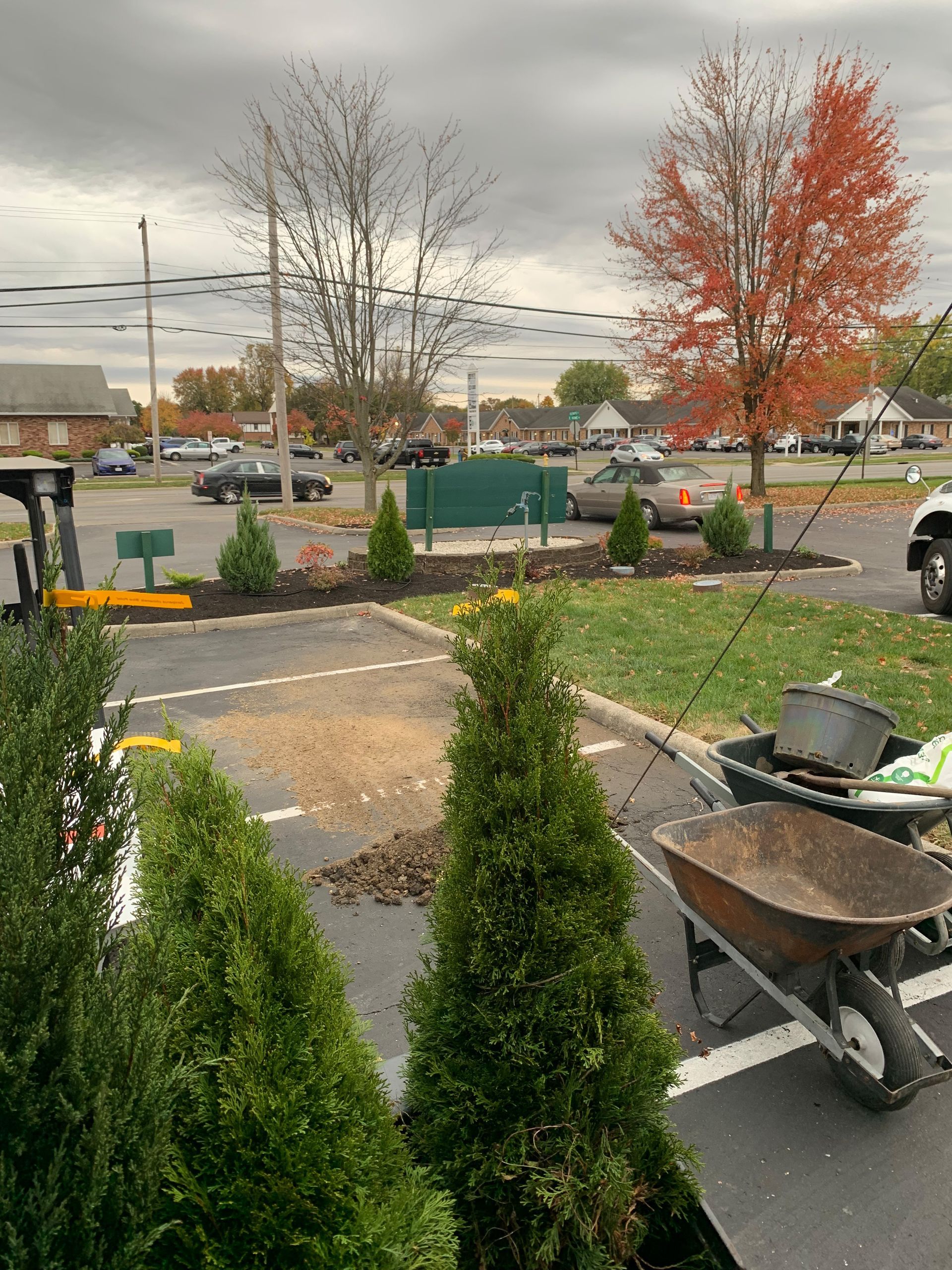 Green trees in a parking lot, fall leaves scattered. Red and bare trees in the distance, overcast sky. Wheelbarrow in view.
