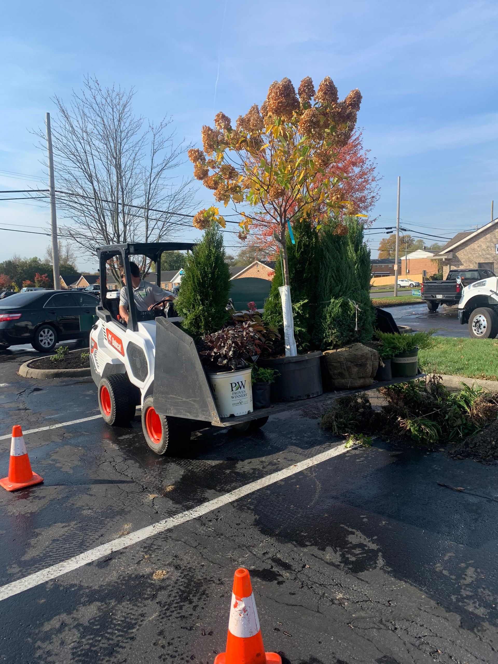 Bobcat machine in parking lot with plants and trees, next to parked cars.