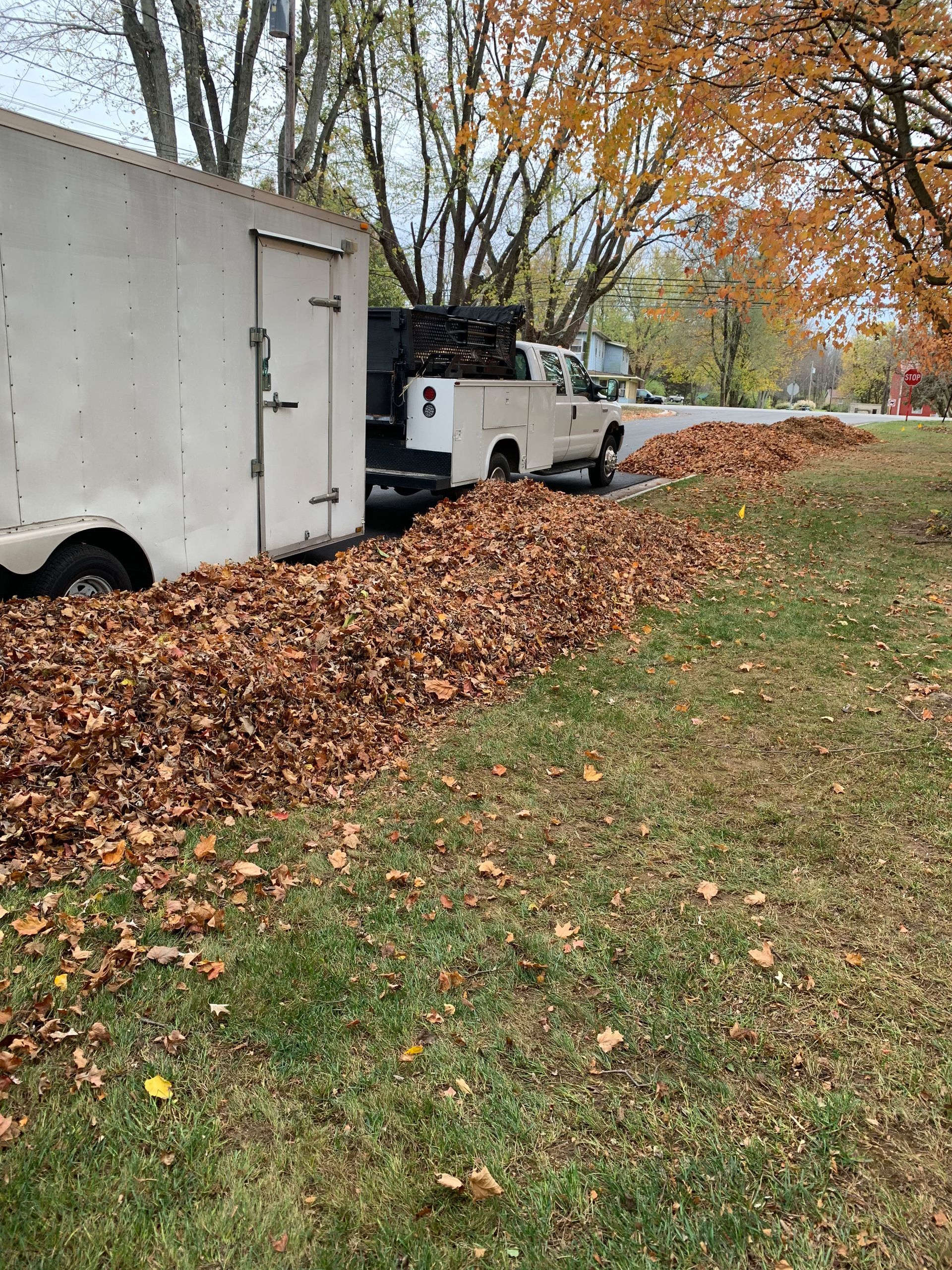 A white truck and trailer next to a large pile of fallen leaves on green grass during autumn.