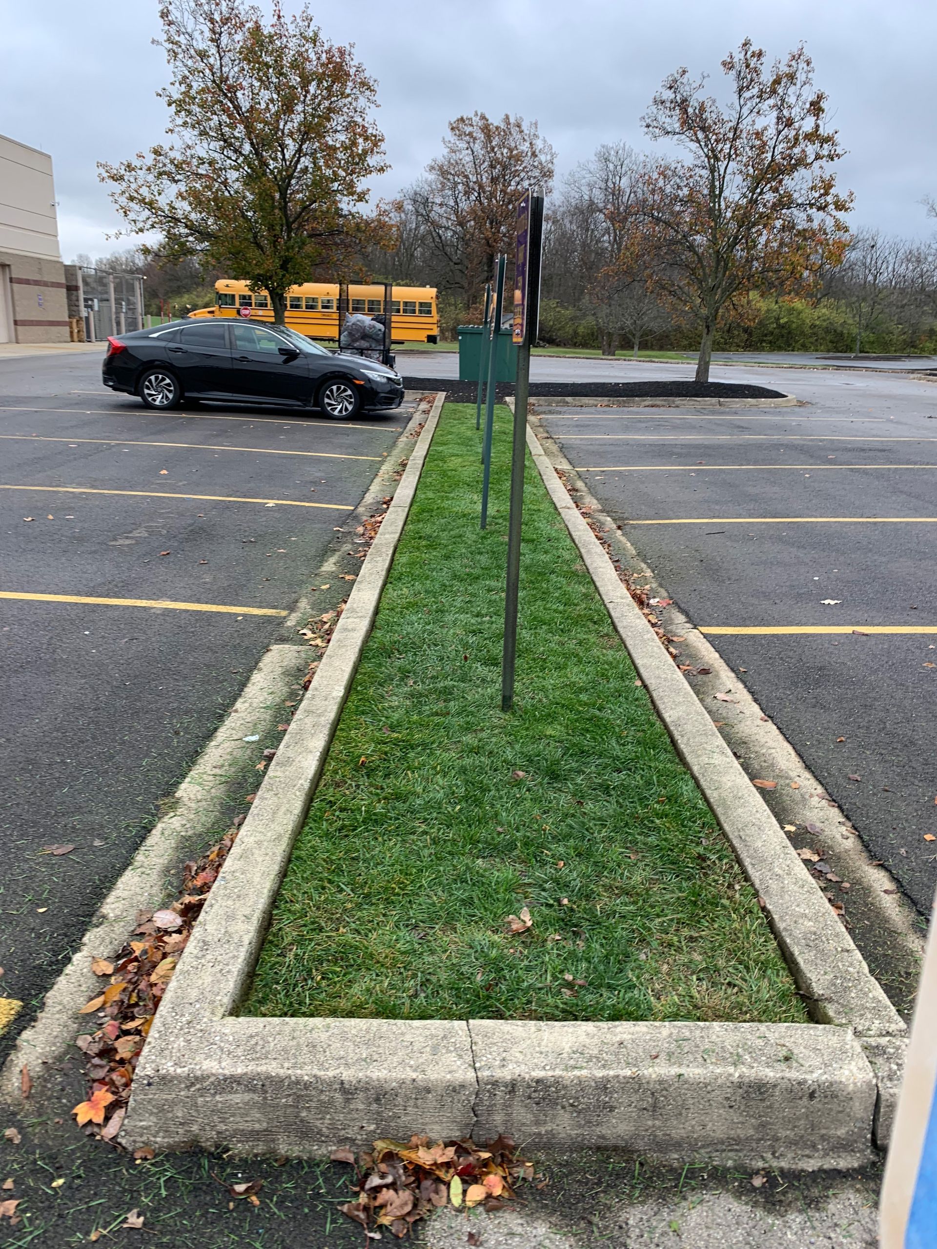 Long, narrow grassy island in a parking lot, with a black car and yellow school buses in the background.