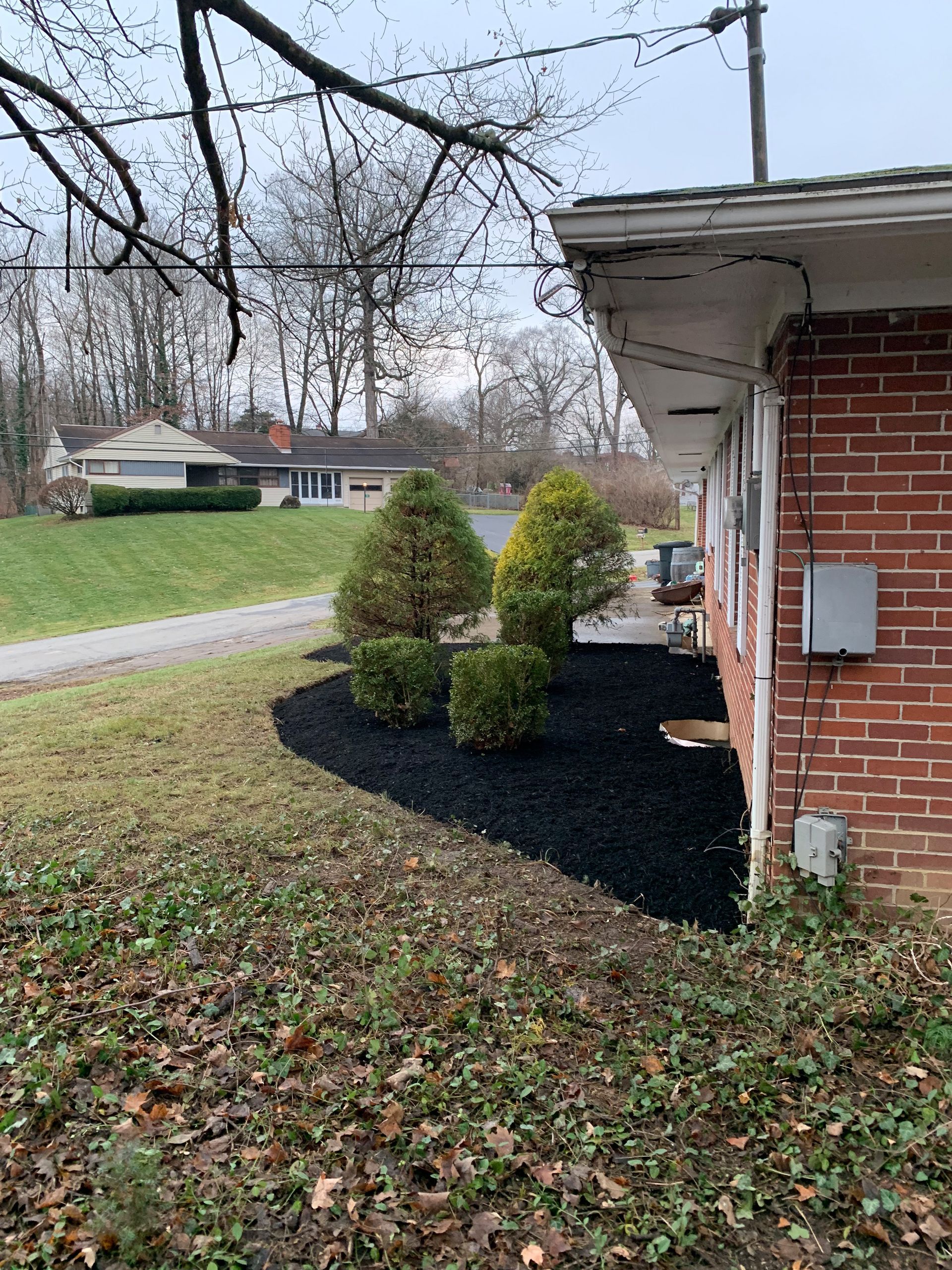 A brick building with a freshly mulched garden bed, featuring green shrubs; in a residential area.