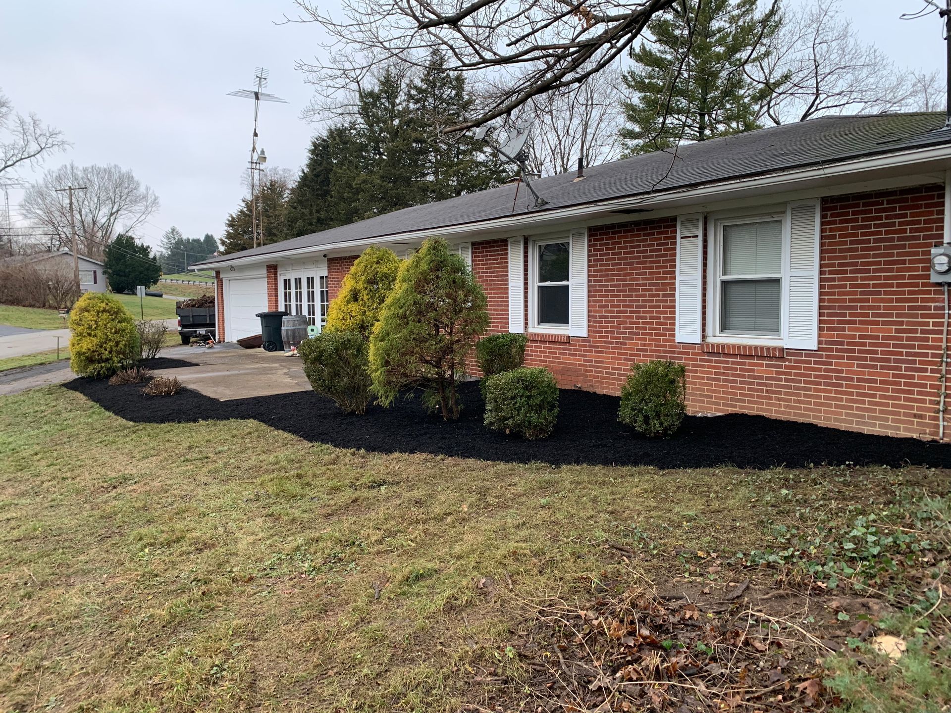 Brick house with freshly mulched landscaping, featuring evergreen shrubs and white shutters.