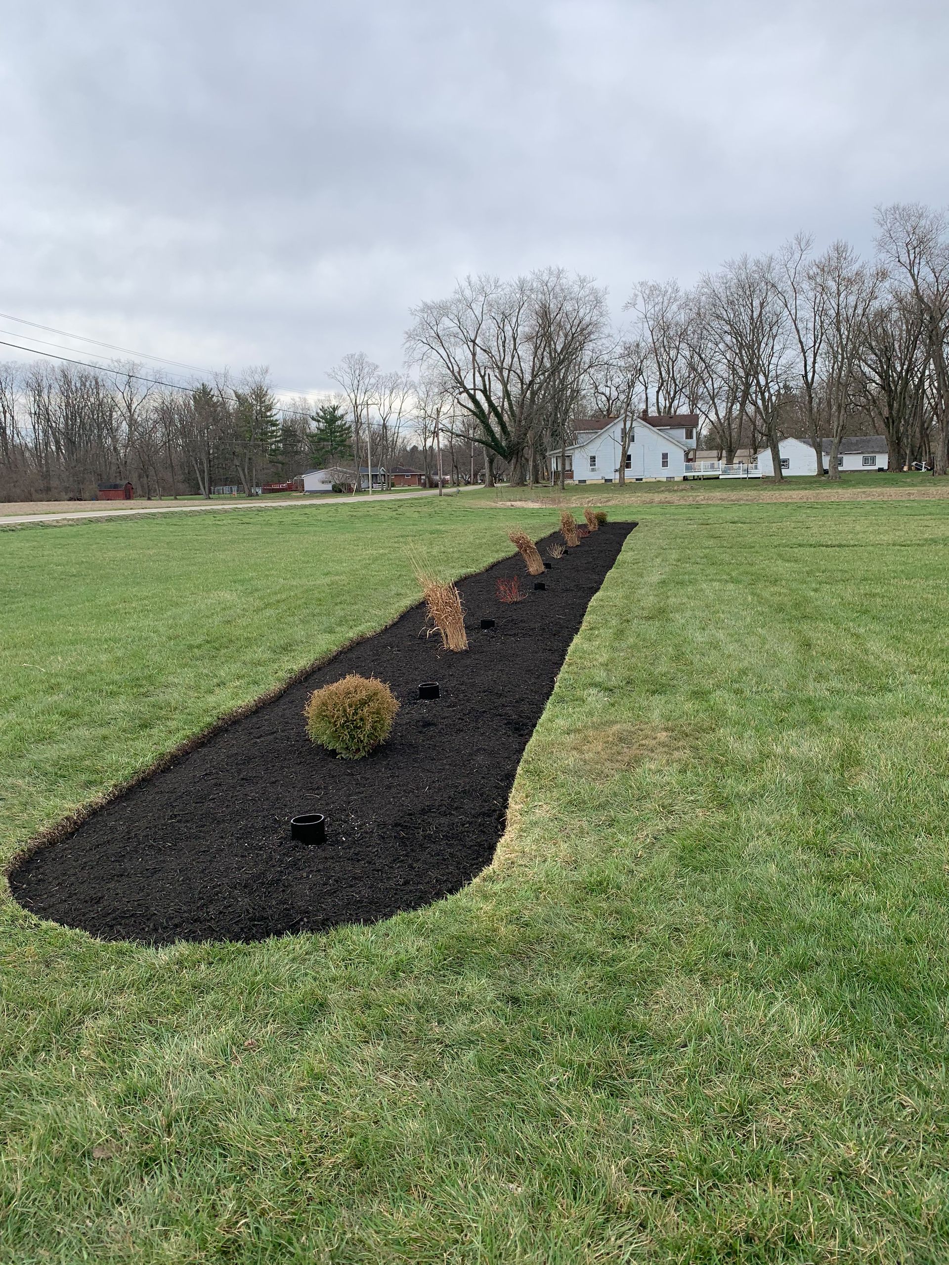 A long bed of dark mulch with new plants in a grassy field. Houses and trees in the background under a cloudy sky.