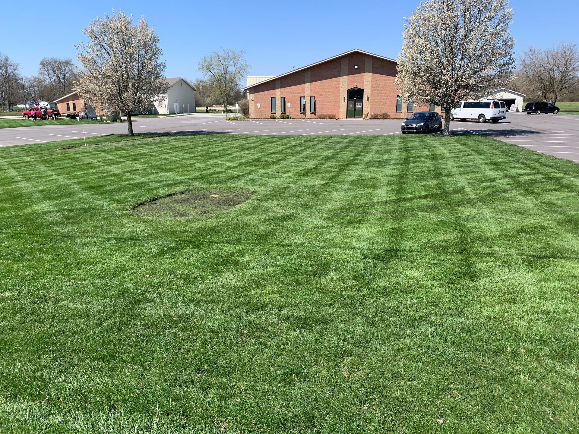 Lawn with neat stripes in front of a brick building and flowering trees on a sunny day.