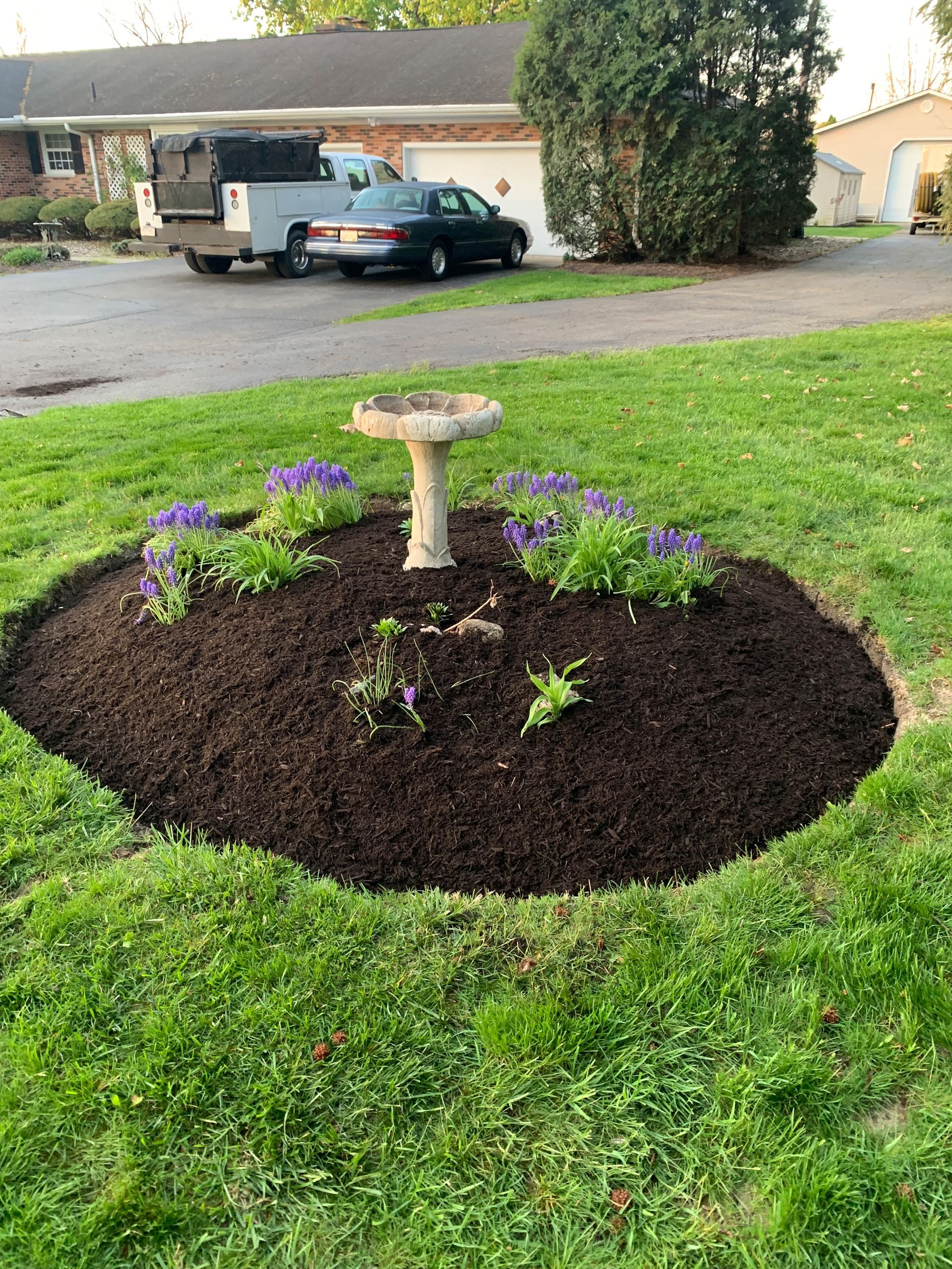 Bird bath in a mulched garden bed with purple flowers, surrounded by green grass and a driveway.