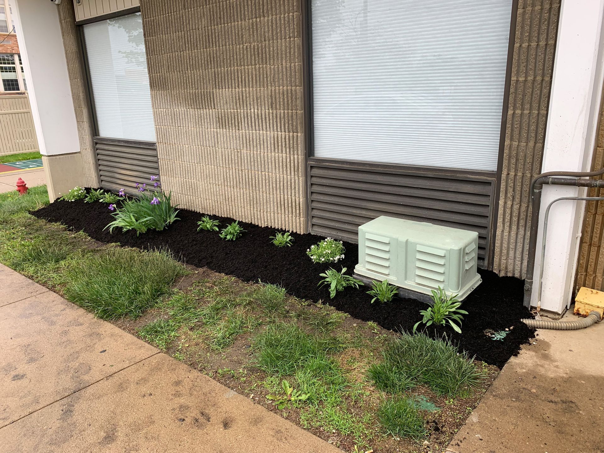 Exterior view of a building with a freshly mulched flowerbed and a small green utility box.