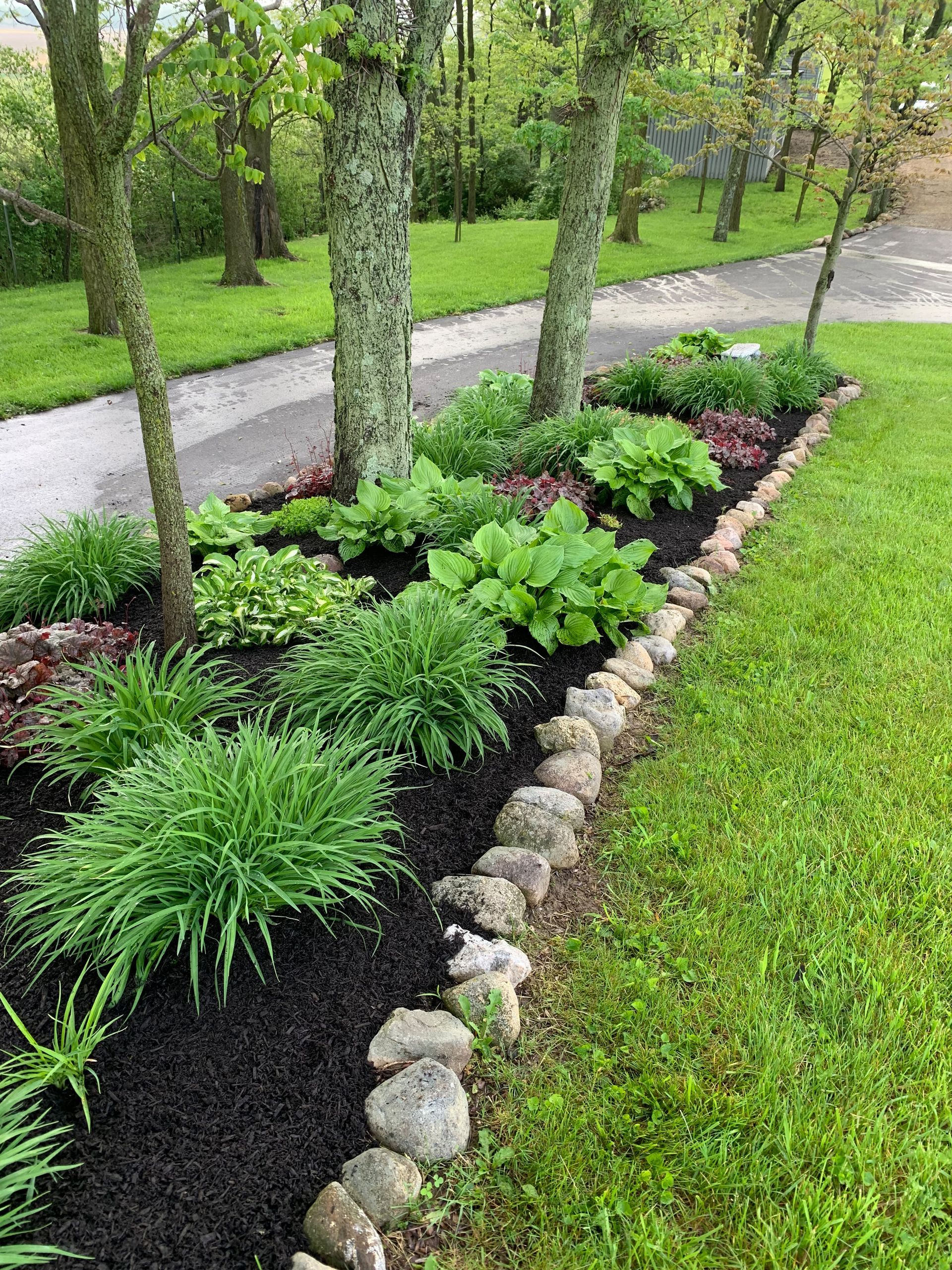 Flower bed with various green plants and trees, bordered by stones and black mulch, next to green grass.