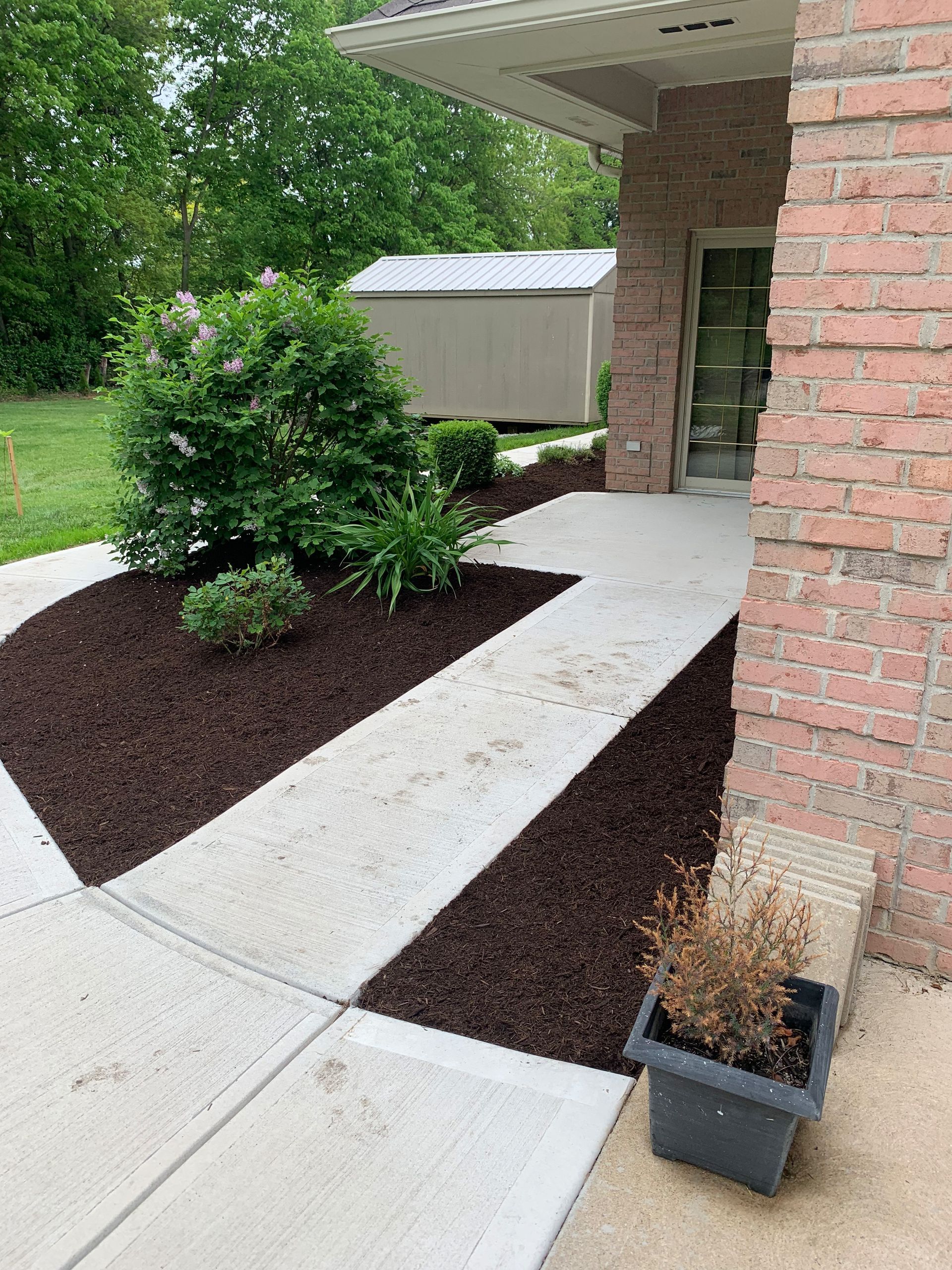 Brick entryway with concrete path, flower bed with mulch, small shed in the background.
