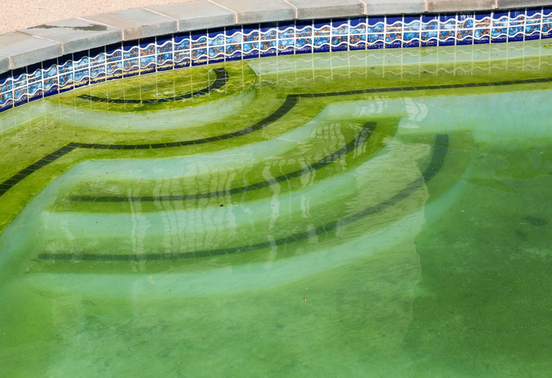 green swimming pool steps from algae