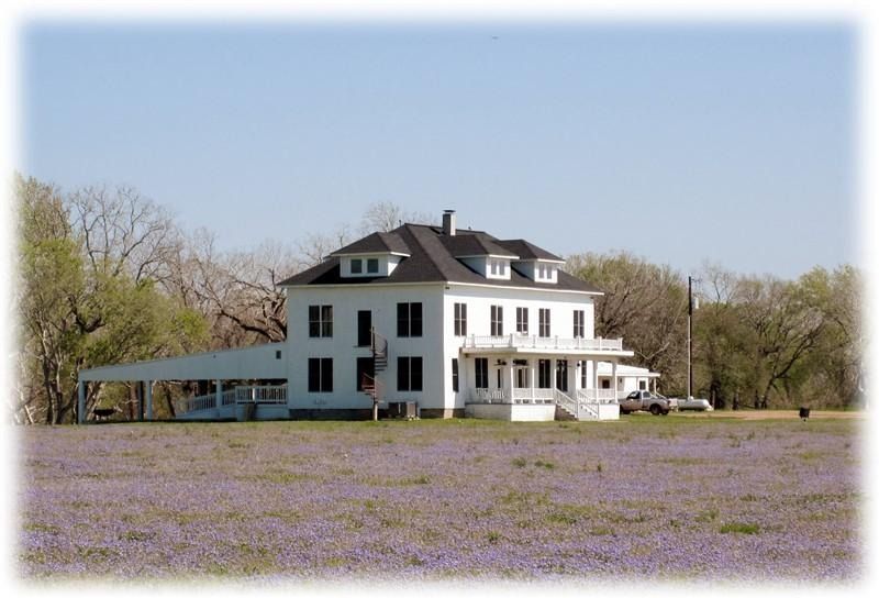A large white house sits in the middle of a field of purple flowers