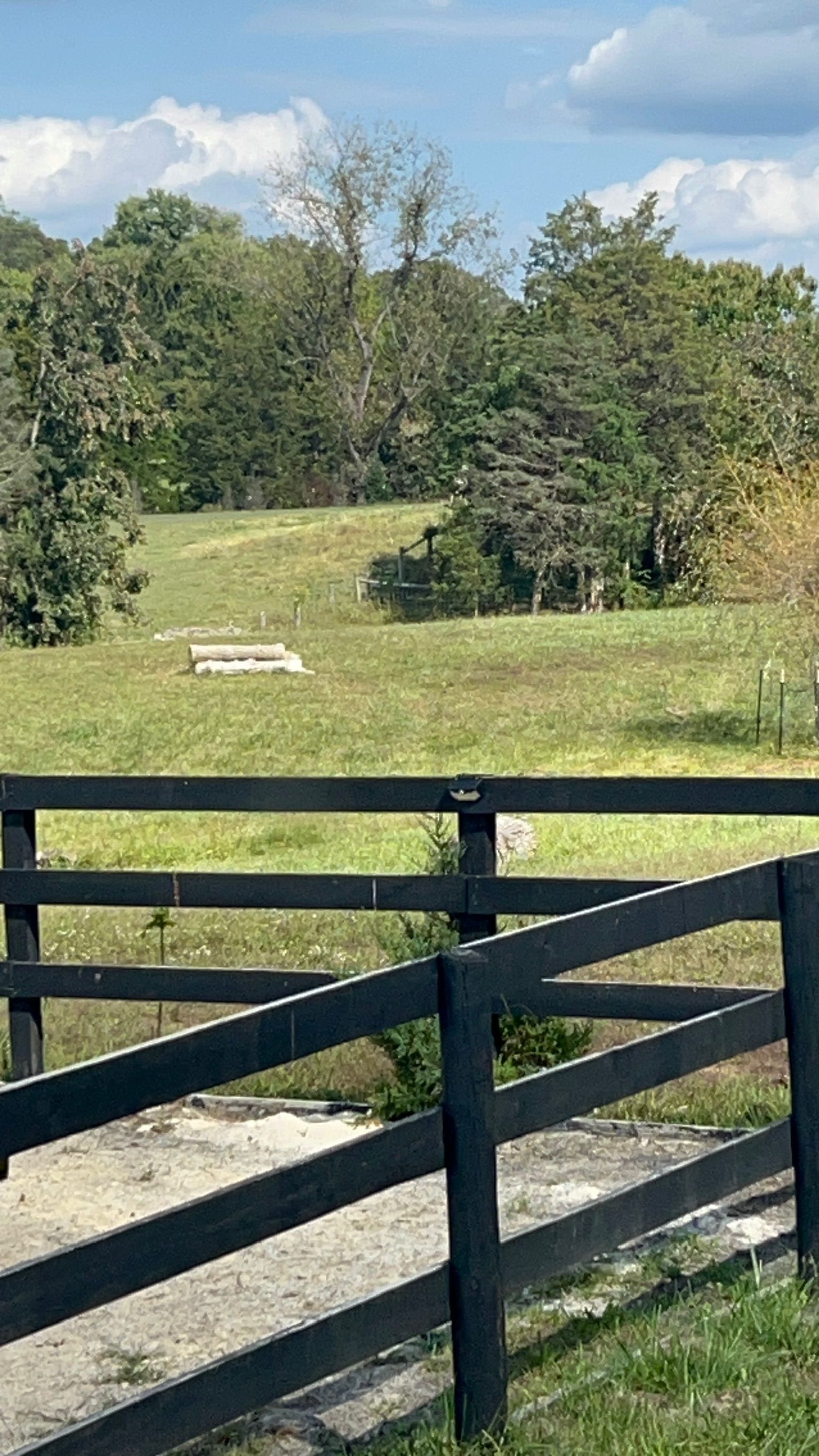 Black wooden fence overlooking a grassy field with trees and a blue sky with clouds