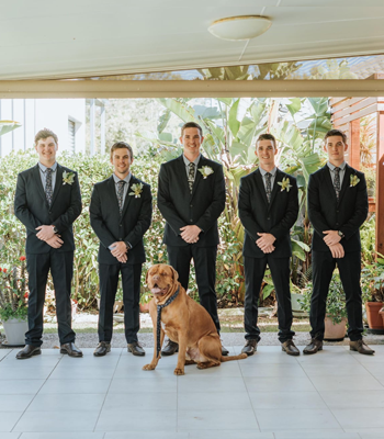 5 Men Grooms & Golden Dog — Celebrant in Yeppoon, QLD