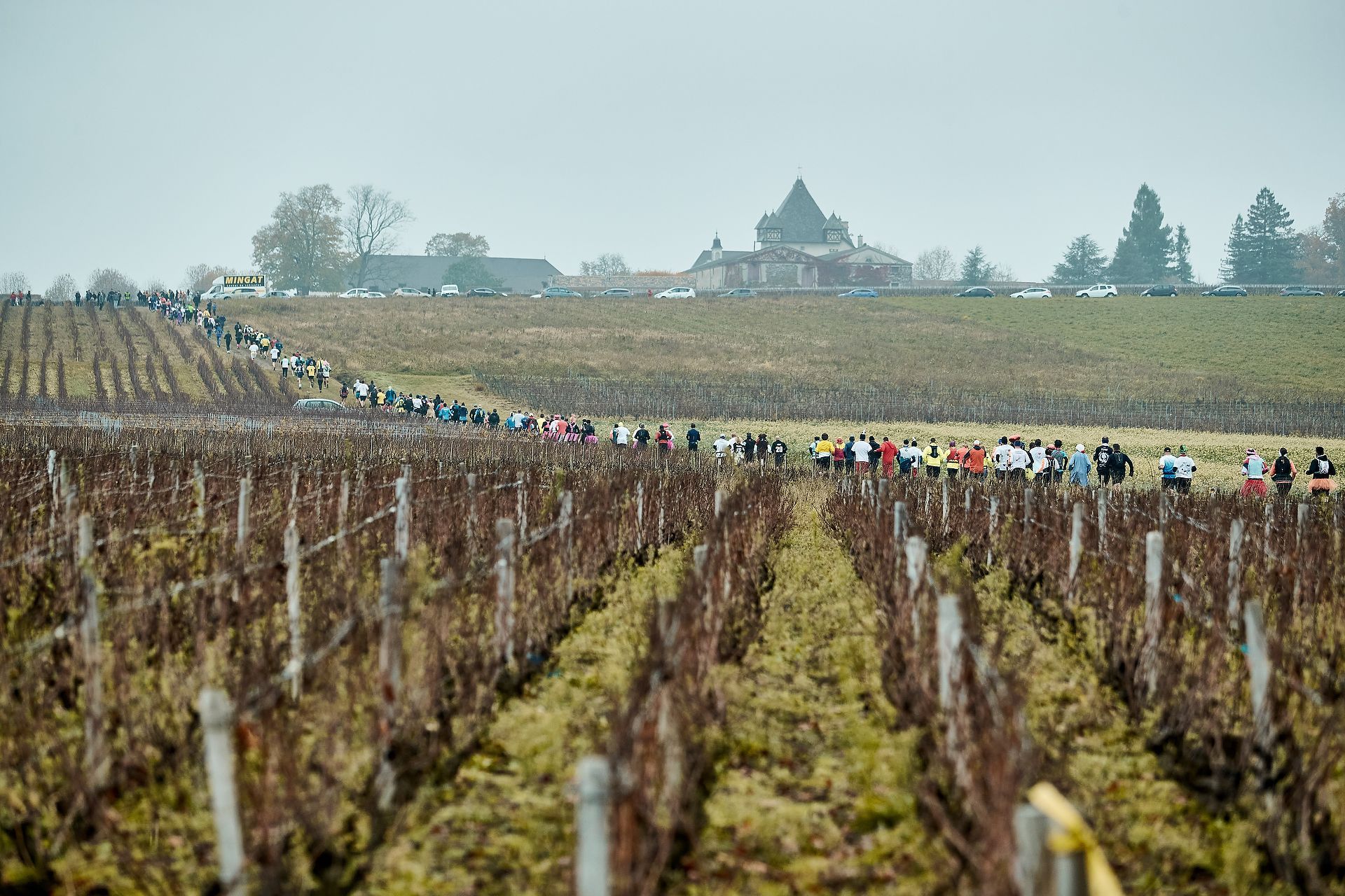 World's biggest wine race
